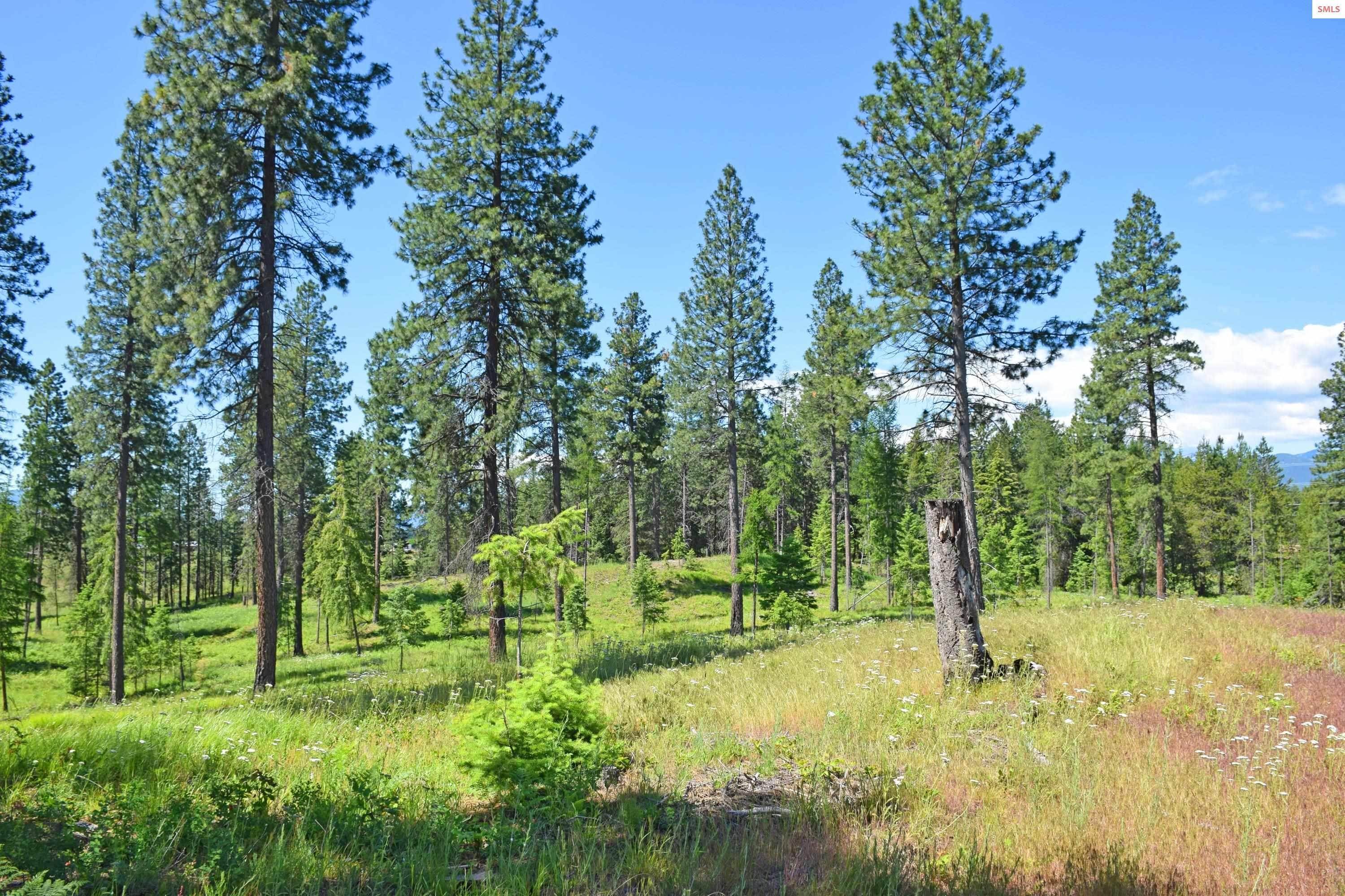 2. Land for Sale at Lot 8 Whitetail Lane Bonners Ferry, Idaho 83805 United States