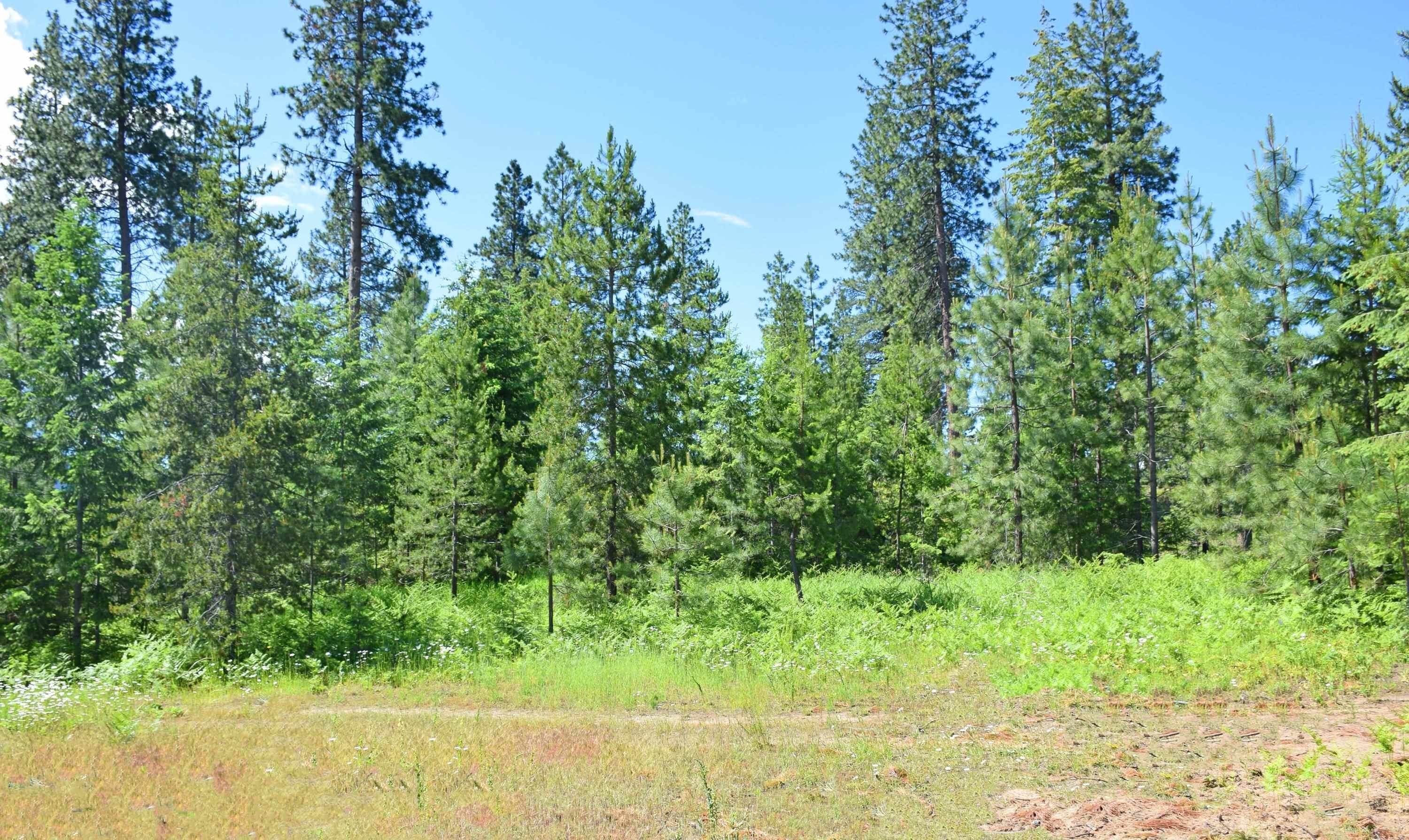 5. Land for Sale at Lot 8 Whitetail Lane Bonners Ferry, Idaho 83805 United States