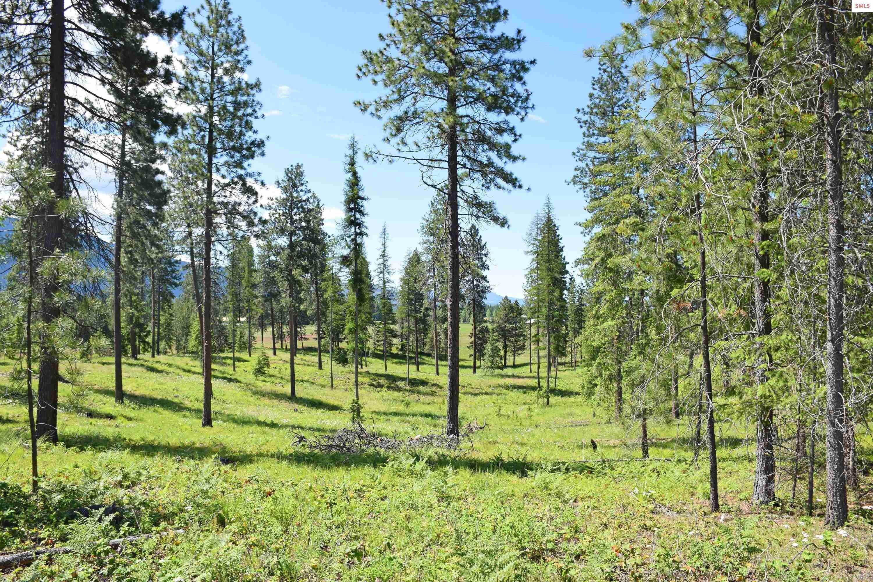 6. Land for Sale at Lot 8 Whitetail Lane Bonners Ferry, Idaho 83805 United States