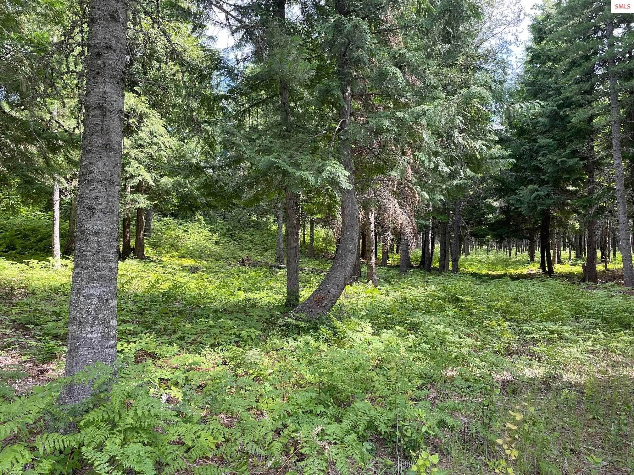 4. Land for Sale at 150 Ranch Road Naples, Idaho 83847 United States