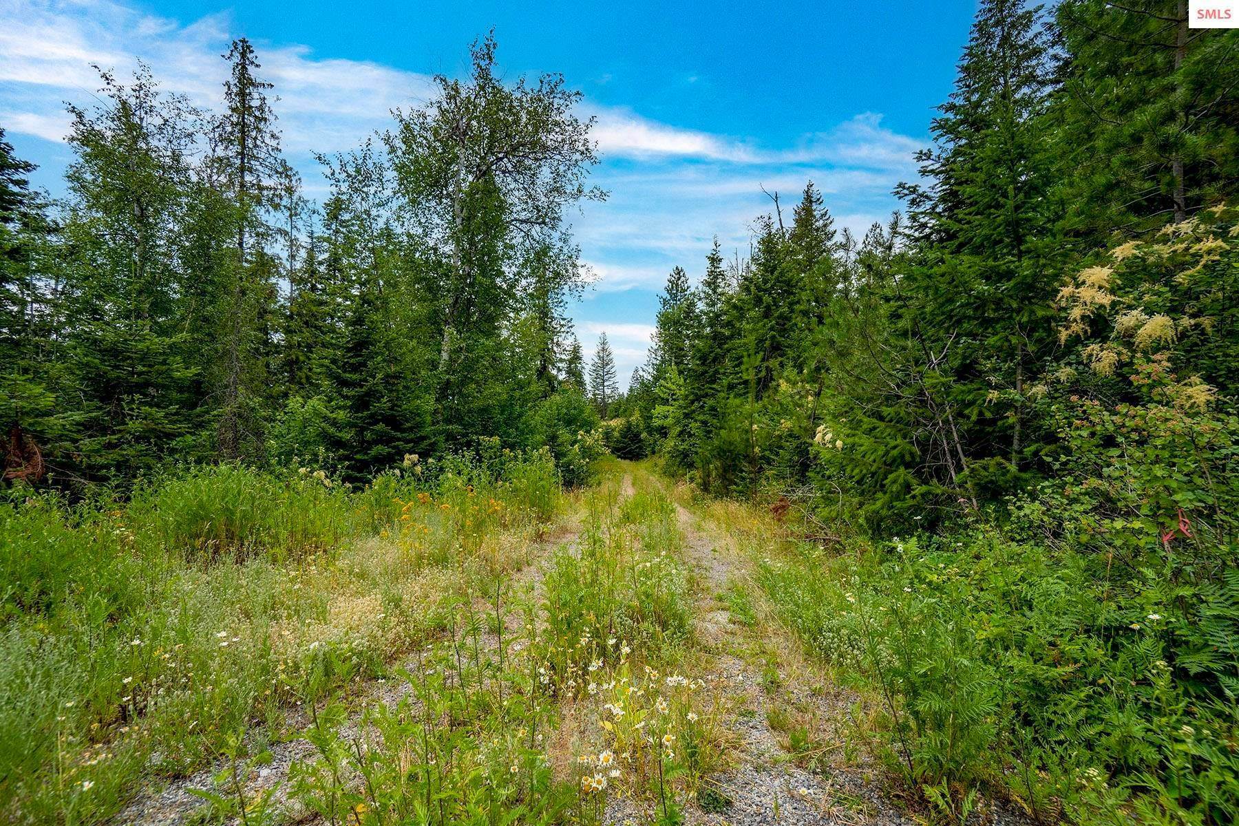 6. Land for Sale at 44 Mariposa Sandpoint, Idaho 83864 United States