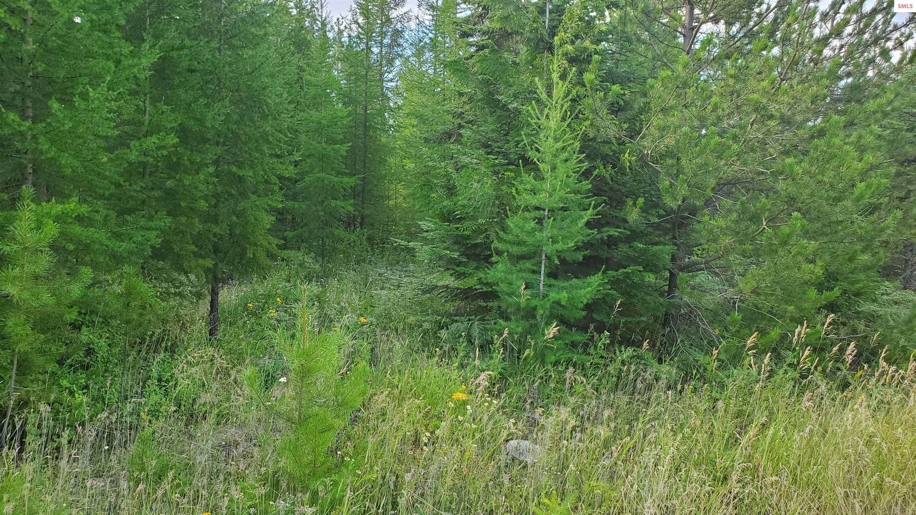 7. Commercial Land for Sale at Lot 1 Blk 1 Plato Drive Bonners Ferry, Idaho 83805 United States