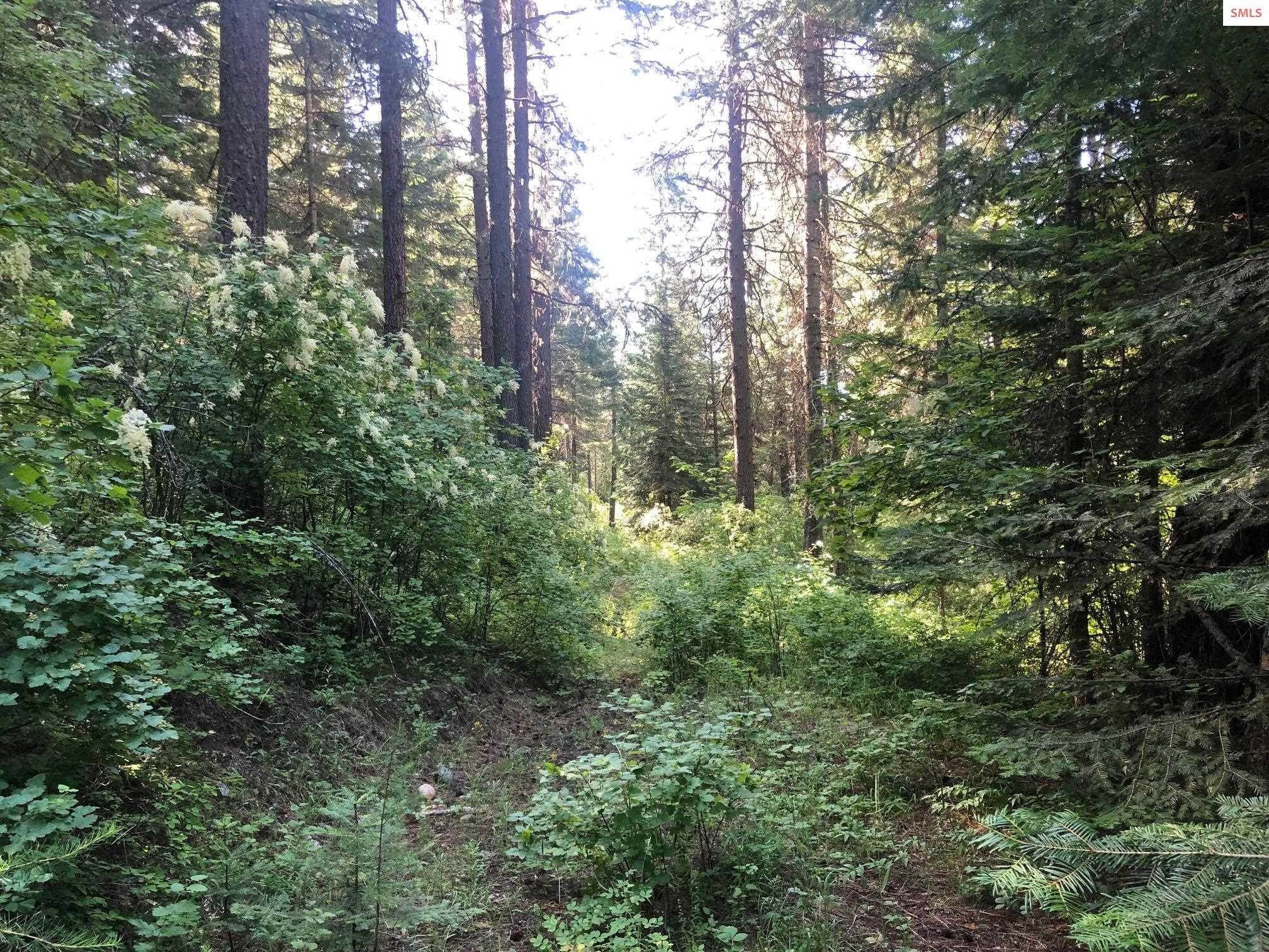 12. Land for Sale at NNA Gold Cup Mountain ( 25 acres ) Priest River, Idaho 83856 United States