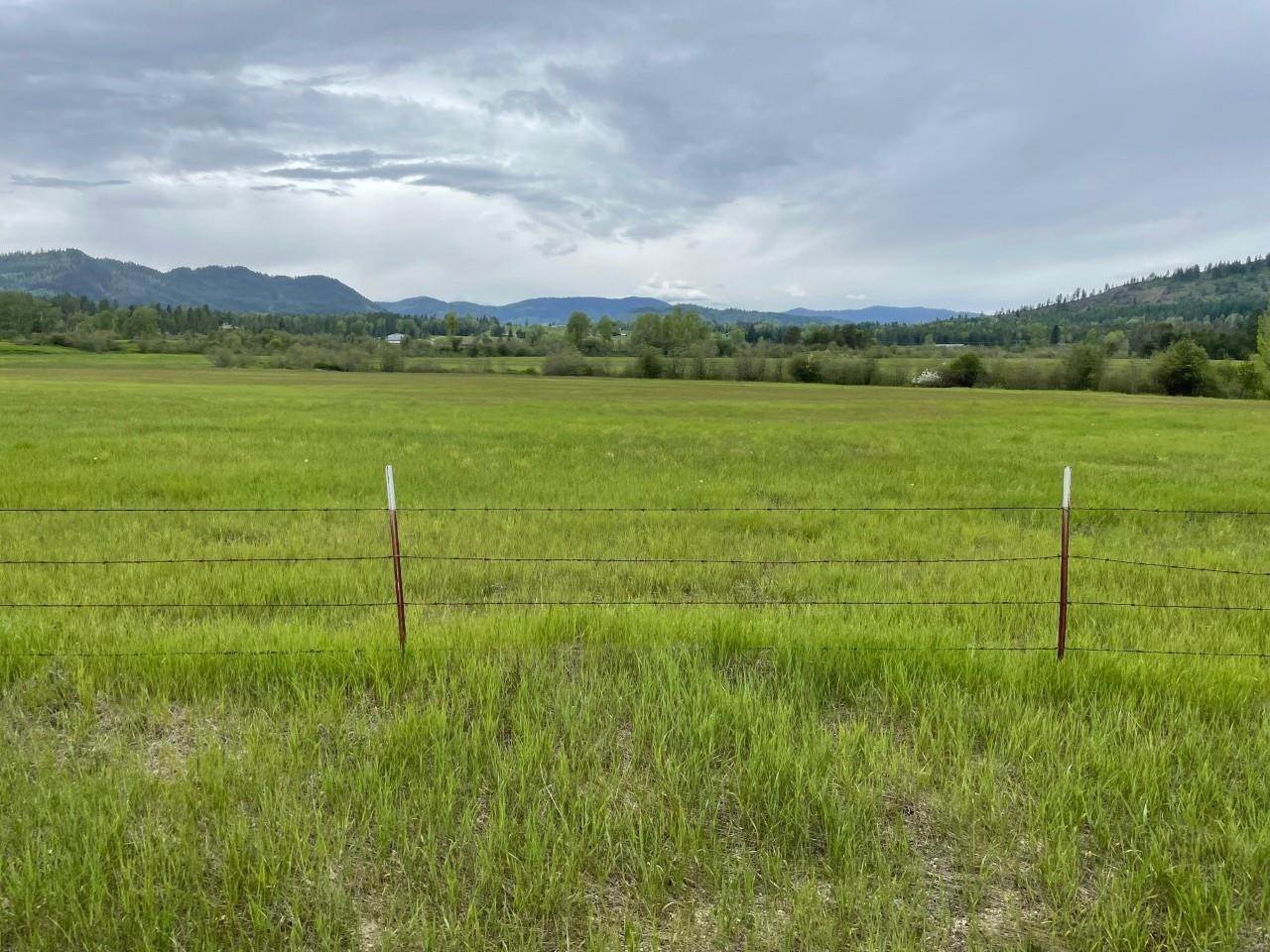 Land for Sale at NKA 158 ACRES Peninsula Loop Road Priest River, Idaho 83856 United States
