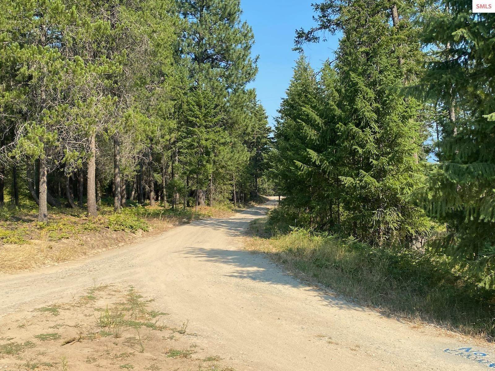17. Land for Sale at NNA Paradise Valley Road Bonners Ferry, Idaho 83805 United States