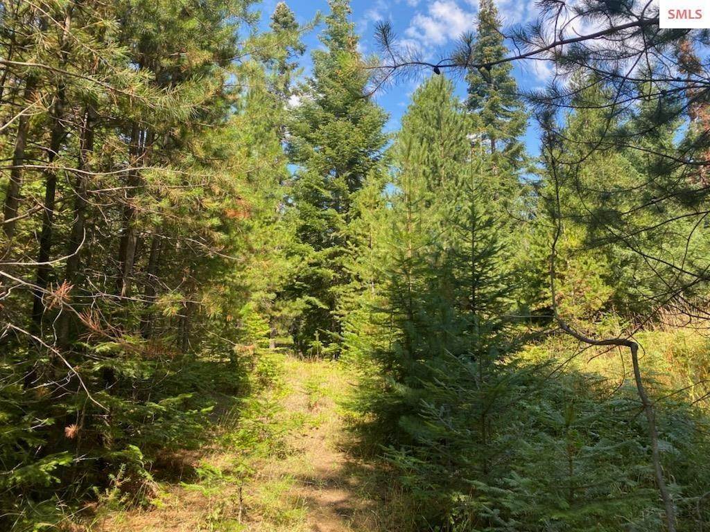 19. Land for Sale at NNA Paradise Valley Road Bonners Ferry, Idaho 83805 United States