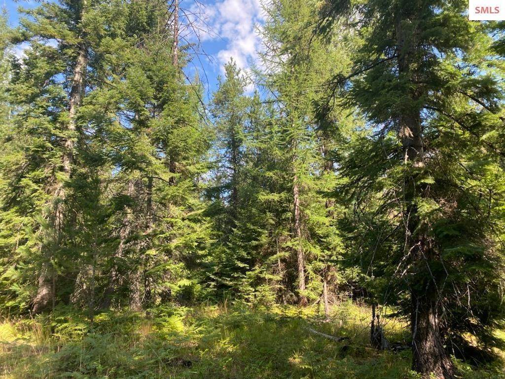 21. Land for Sale at NNA Paradise Valley Road Bonners Ferry, Idaho 83805 United States