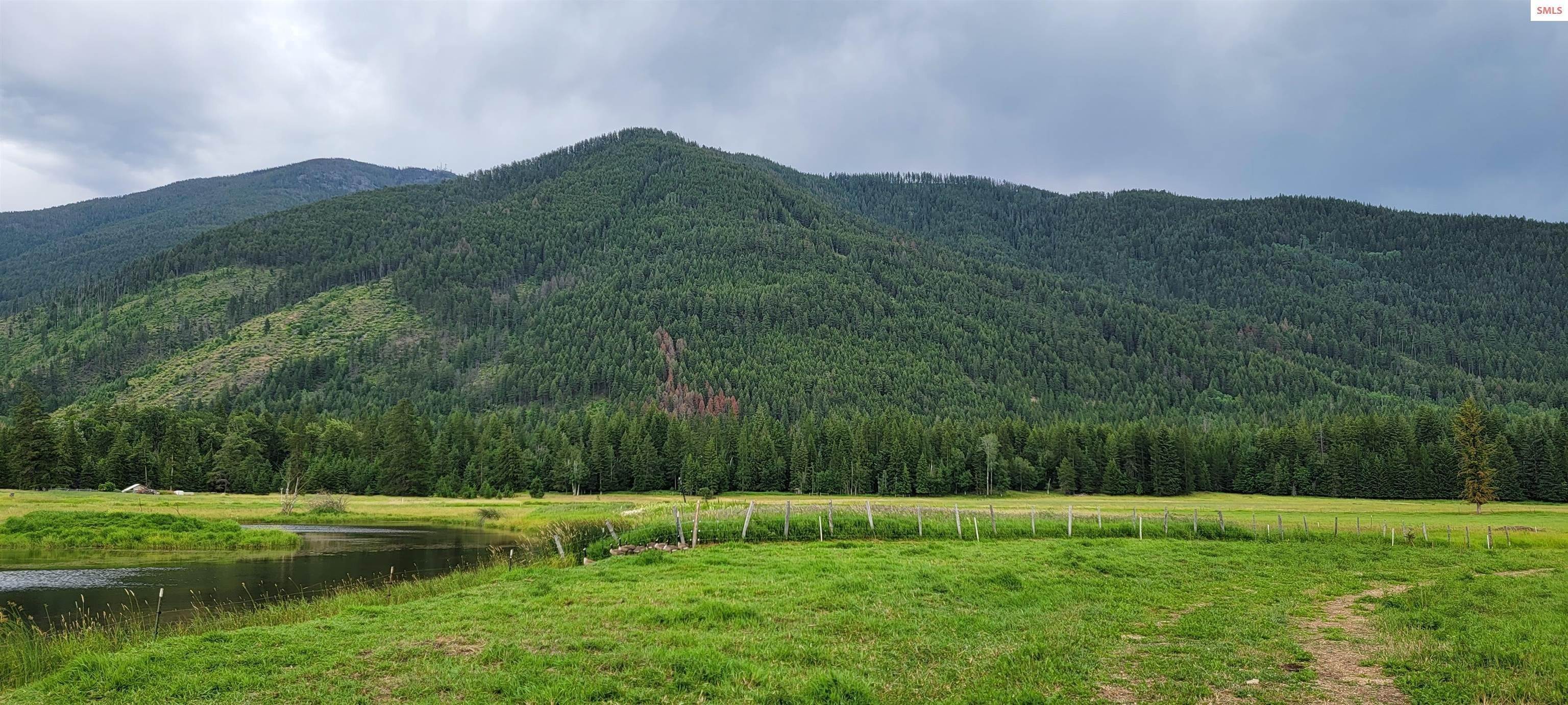 Land for Sale at NNA Black Mountain Road Bonners Ferry, Idaho 83805 United States