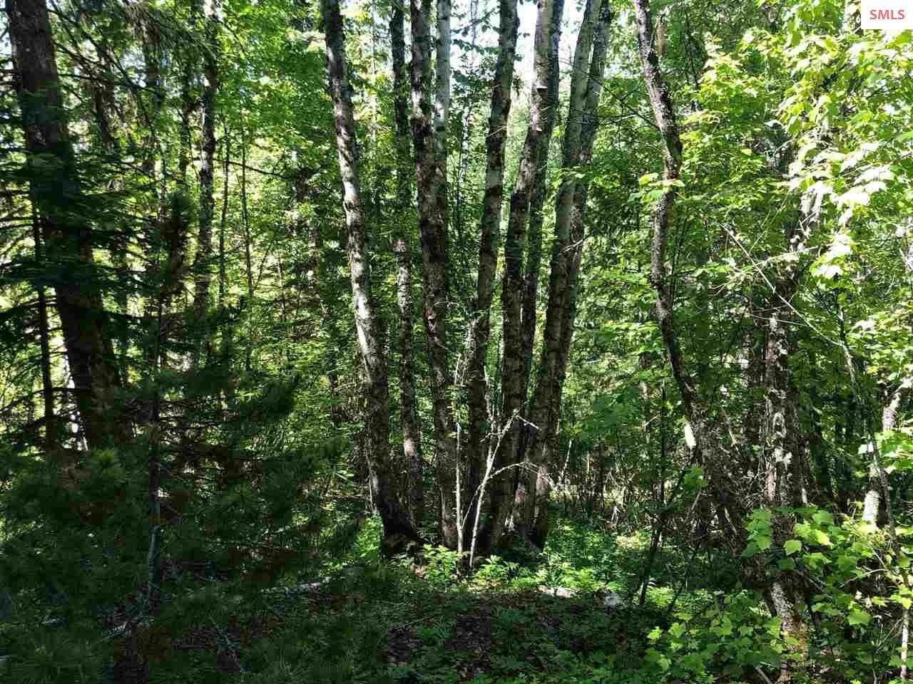11. Land for Sale at NNA Highlands Rd. ( 20 acres ) Sandpoint, Idaho 83864 United States