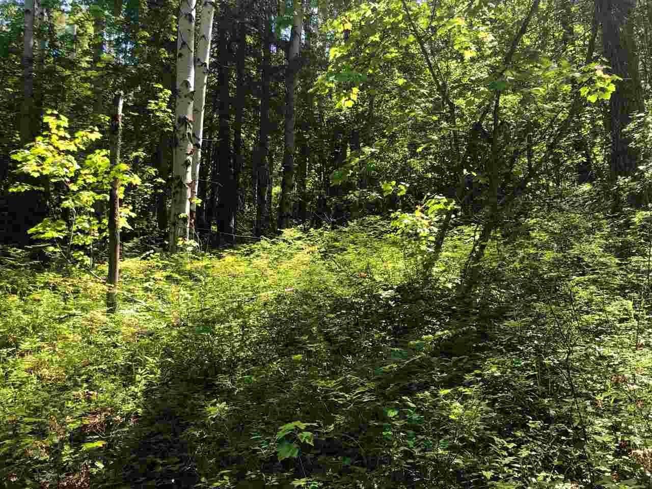 20. Land for Sale at NNA Highlands Rd. ( 20 acres ) Sandpoint, Idaho 83864 United States