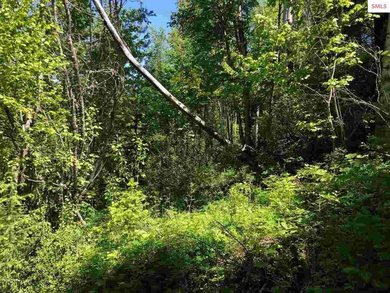 6. Land for Sale at NNA Highlands Rd. ( 20 acres ) Sandpoint, Idaho 83864 United States