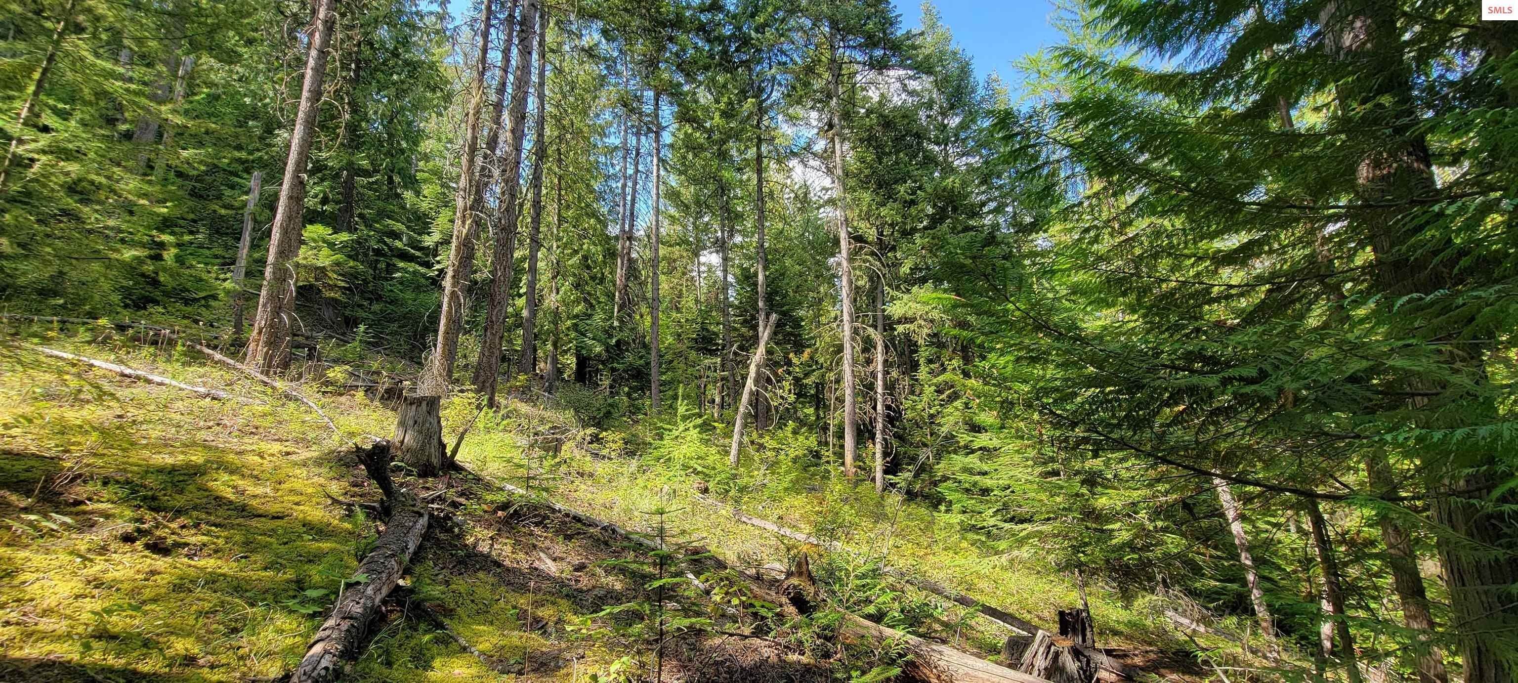 11. Land for Sale at NNA Enchanted Lane #5 Bonners Ferry, Idaho 83845 United States