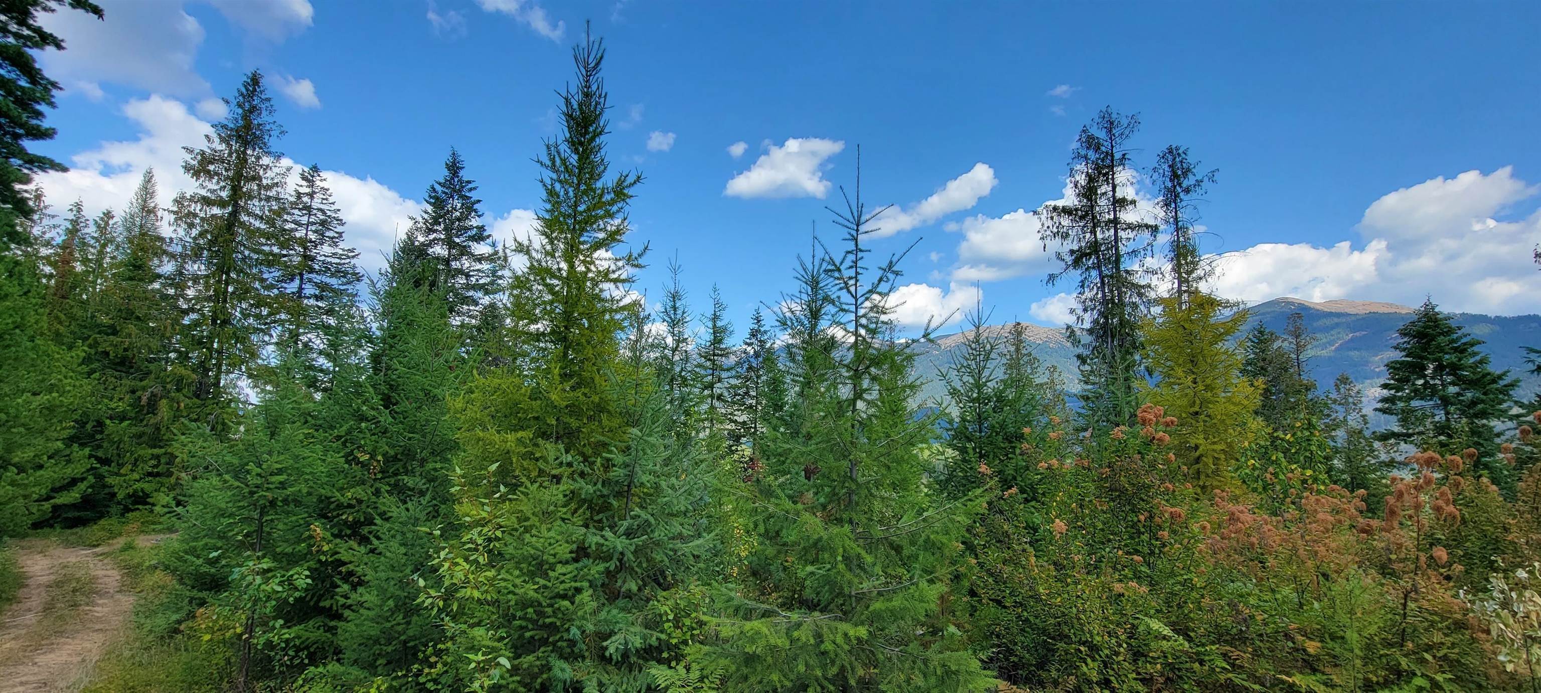 4. Land for Sale at NNA Enchanted Lane #5 Bonners Ferry, Idaho 83845 United States