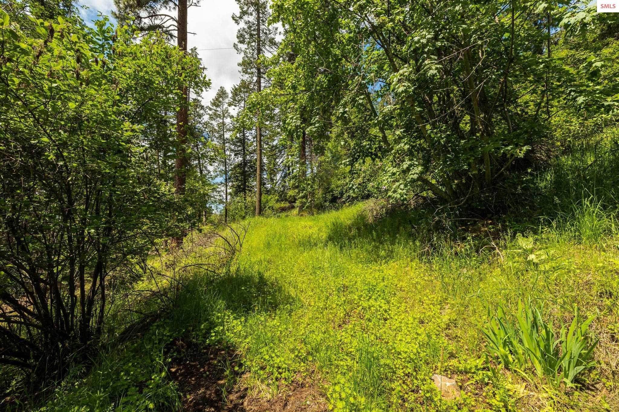 12. Land for Sale at 135 Osprey Roost Road Sandpoint, Idaho 83864 United States