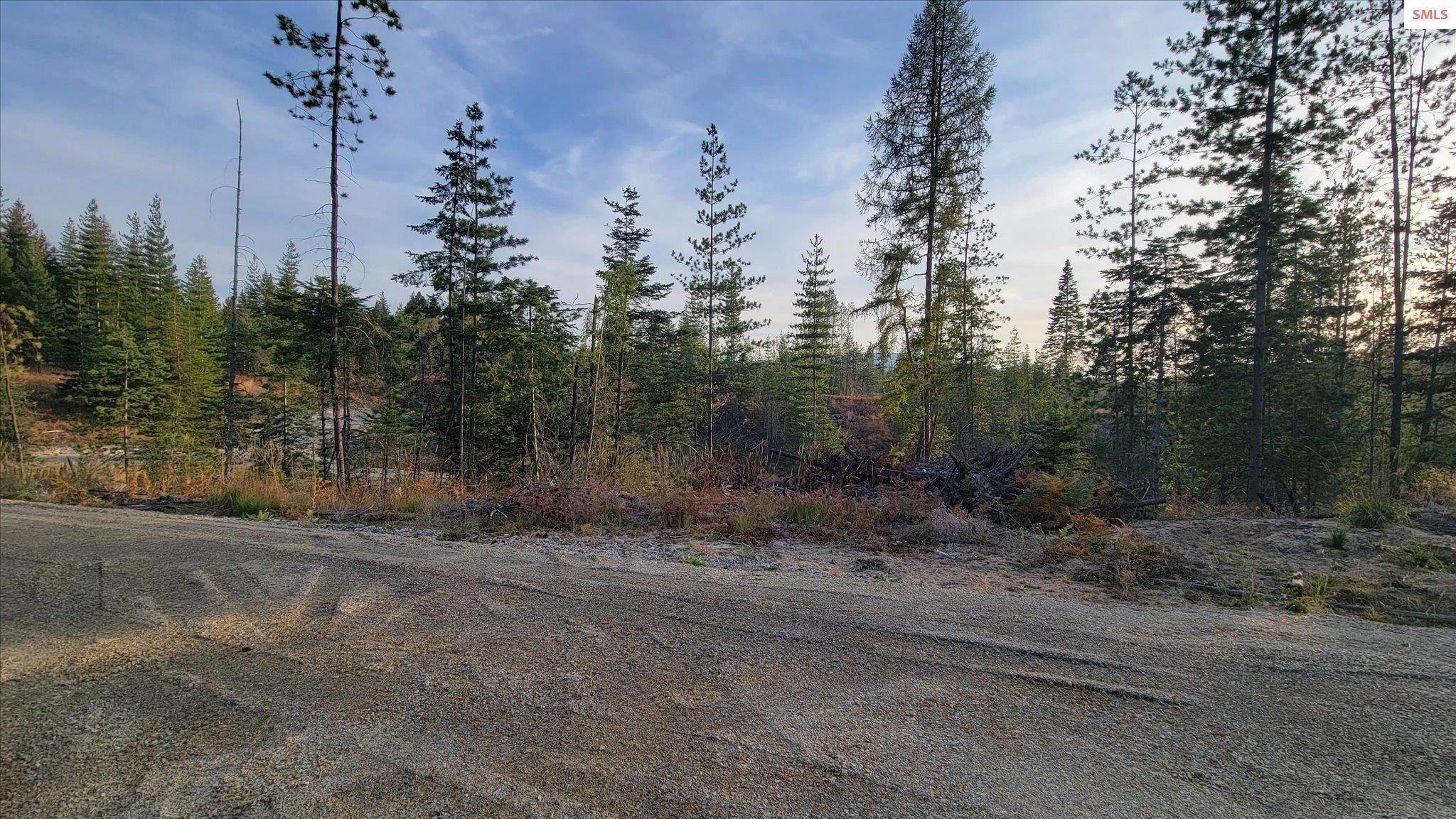 2. Land for Sale at Lot M2 Pioneer Lane Priest River, Idaho 83856 United States