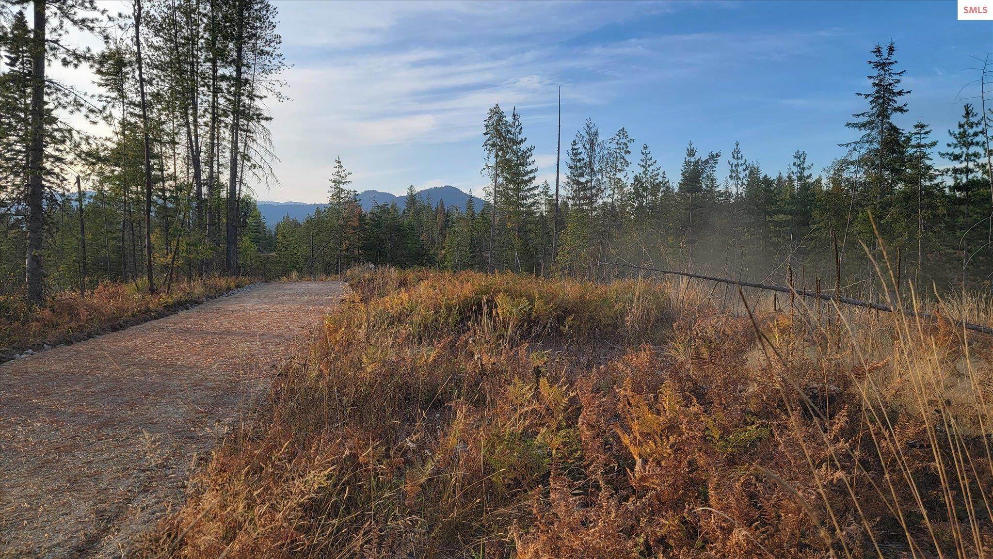 14. Land for Sale at Lot M4 Pioneer Lane Priest River, Idaho 83856 United States