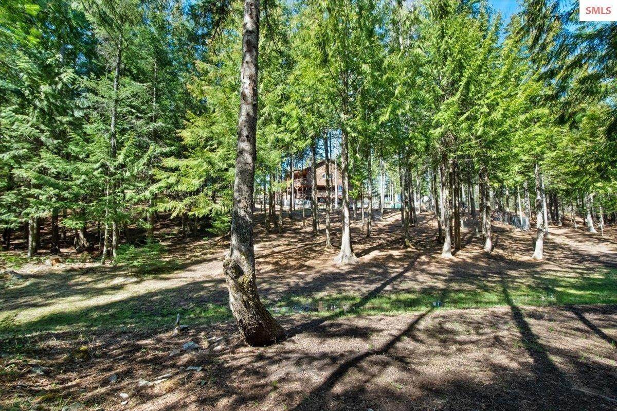 41. Single Family Homes for Sale at 229 Lost In The Woods Lane Careywood, Idaho 83809 United States