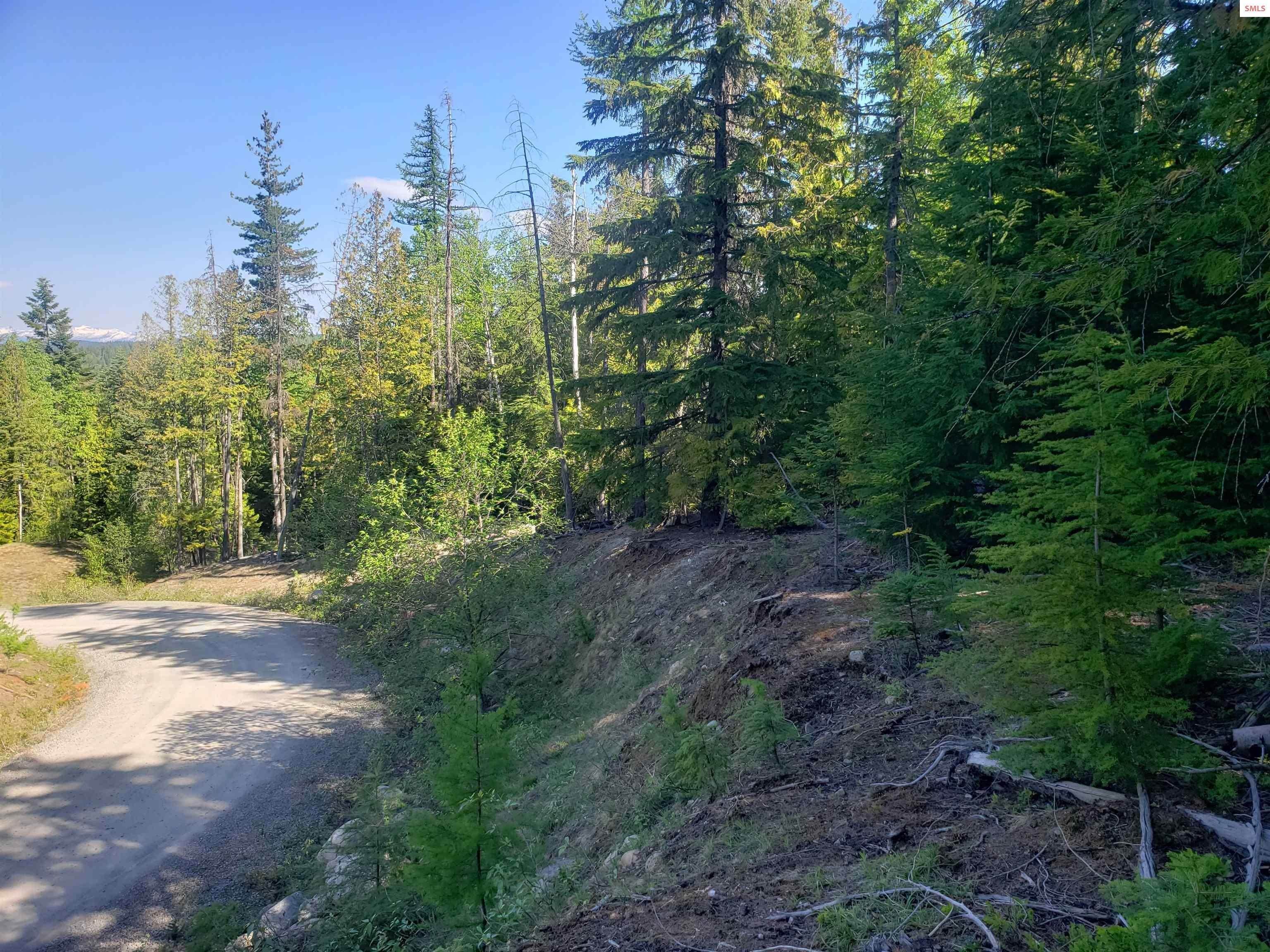 2. Land for Sale at NNA Rising Hawk Sandpoint, Idaho 83864 United States