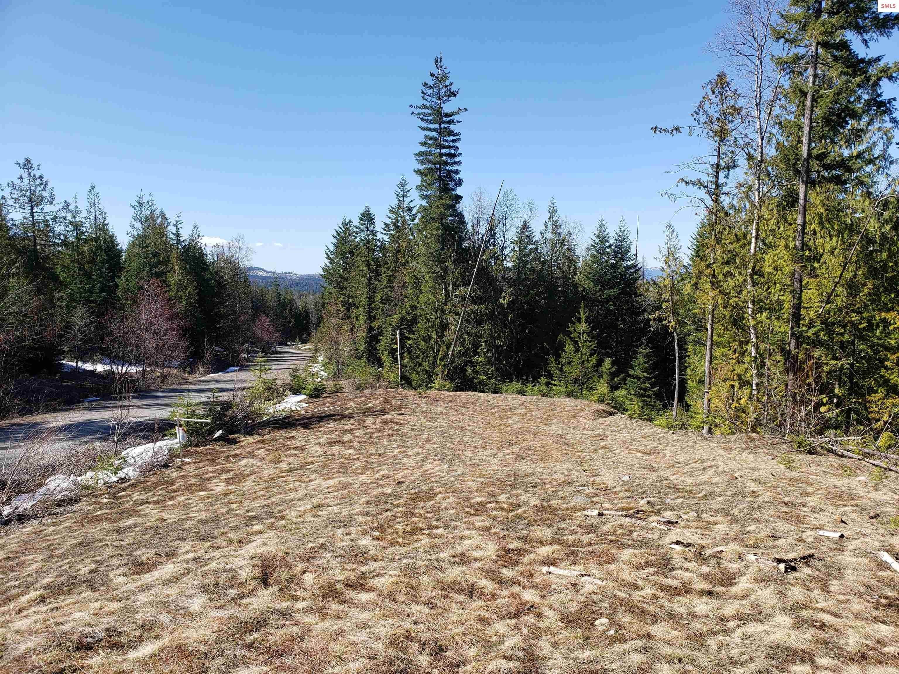 11. Land for Sale at NNA Rising Hawk Sandpoint, Idaho 83864 United States