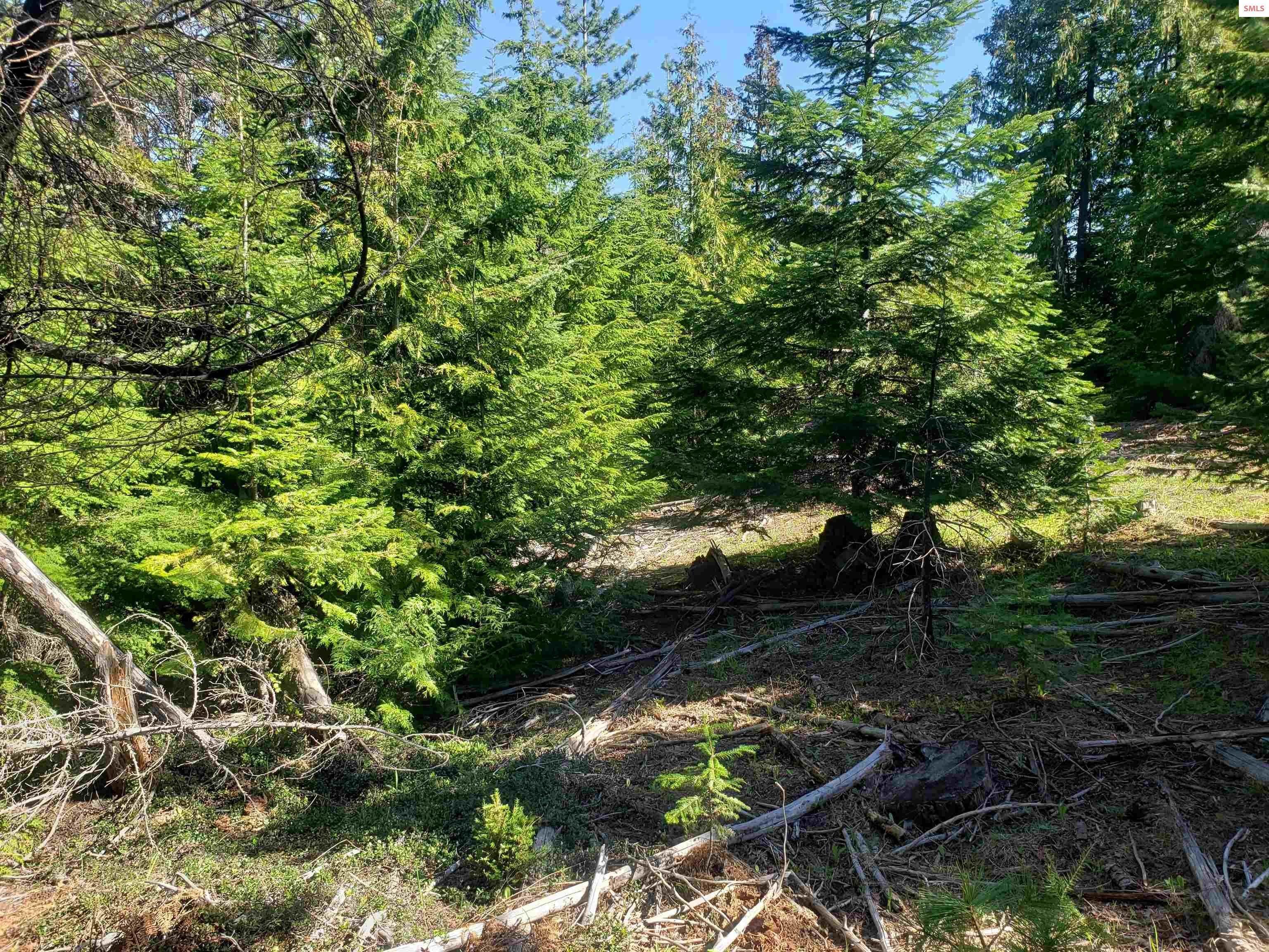 16. Land for Sale at NNA Rising Hawk Sandpoint, Idaho 83864 United States