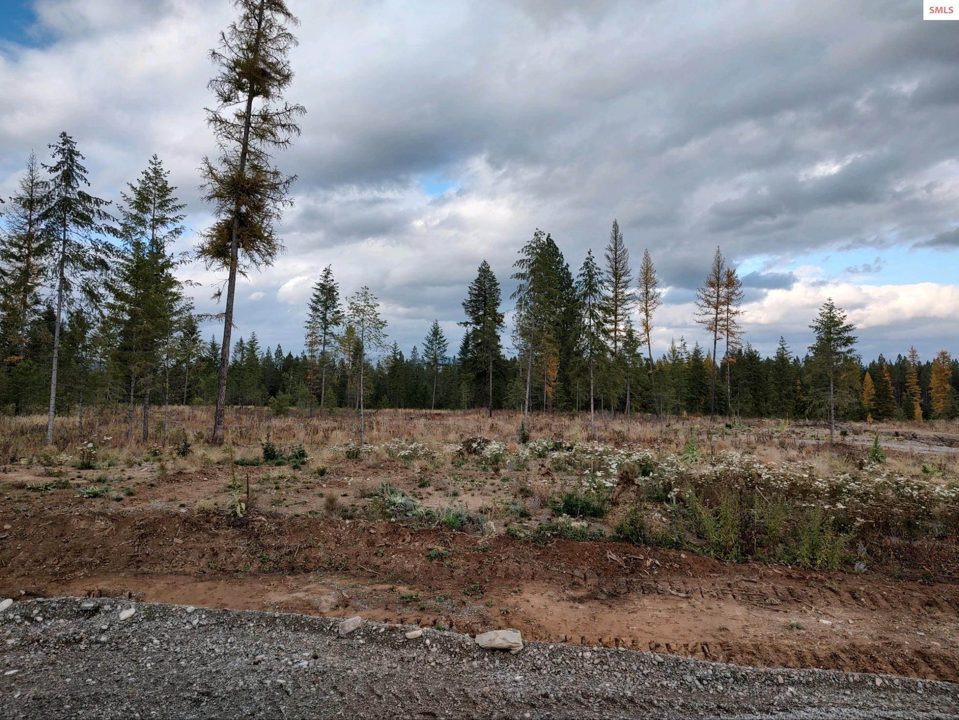 1. Land for Sale at NKA Tractor Way Lot 1 Block 1 Priest River, Idaho 83856 United States