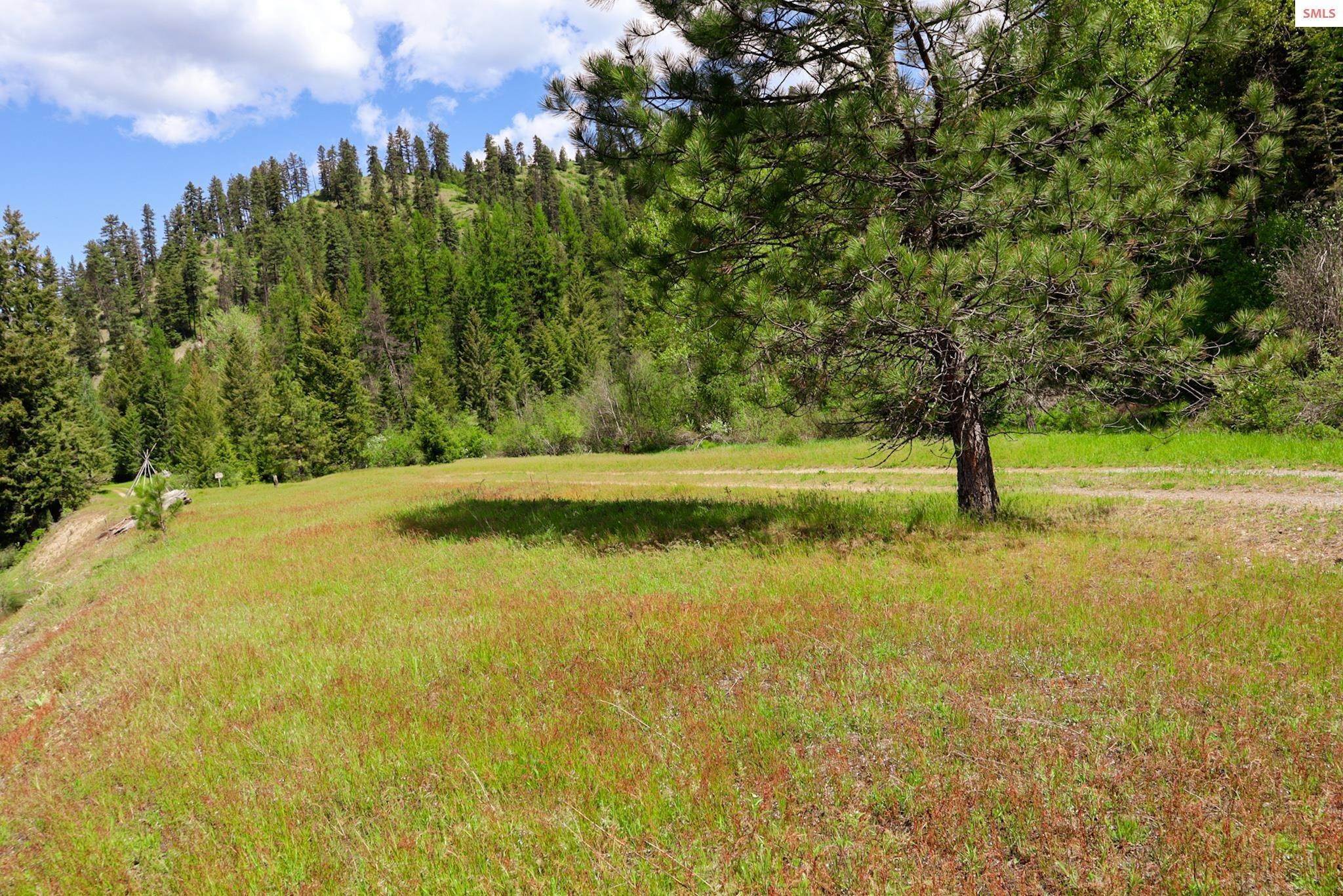 20. Land for Sale at NKA Portage Trail Priest River, Idaho 83856 United States