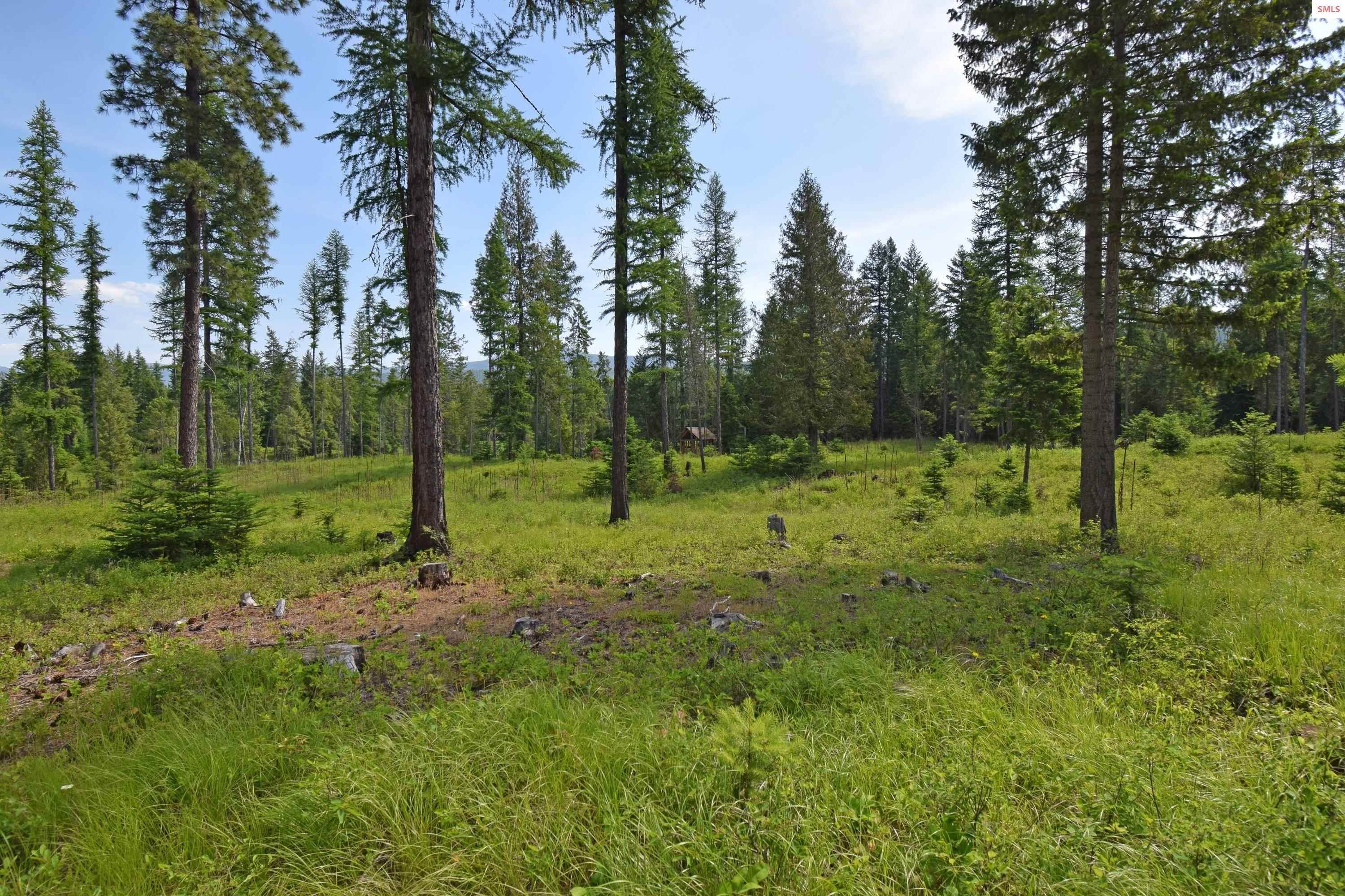5. Land for Sale at NNA Rebel Way Bonners Ferry, Idaho 83805 United States