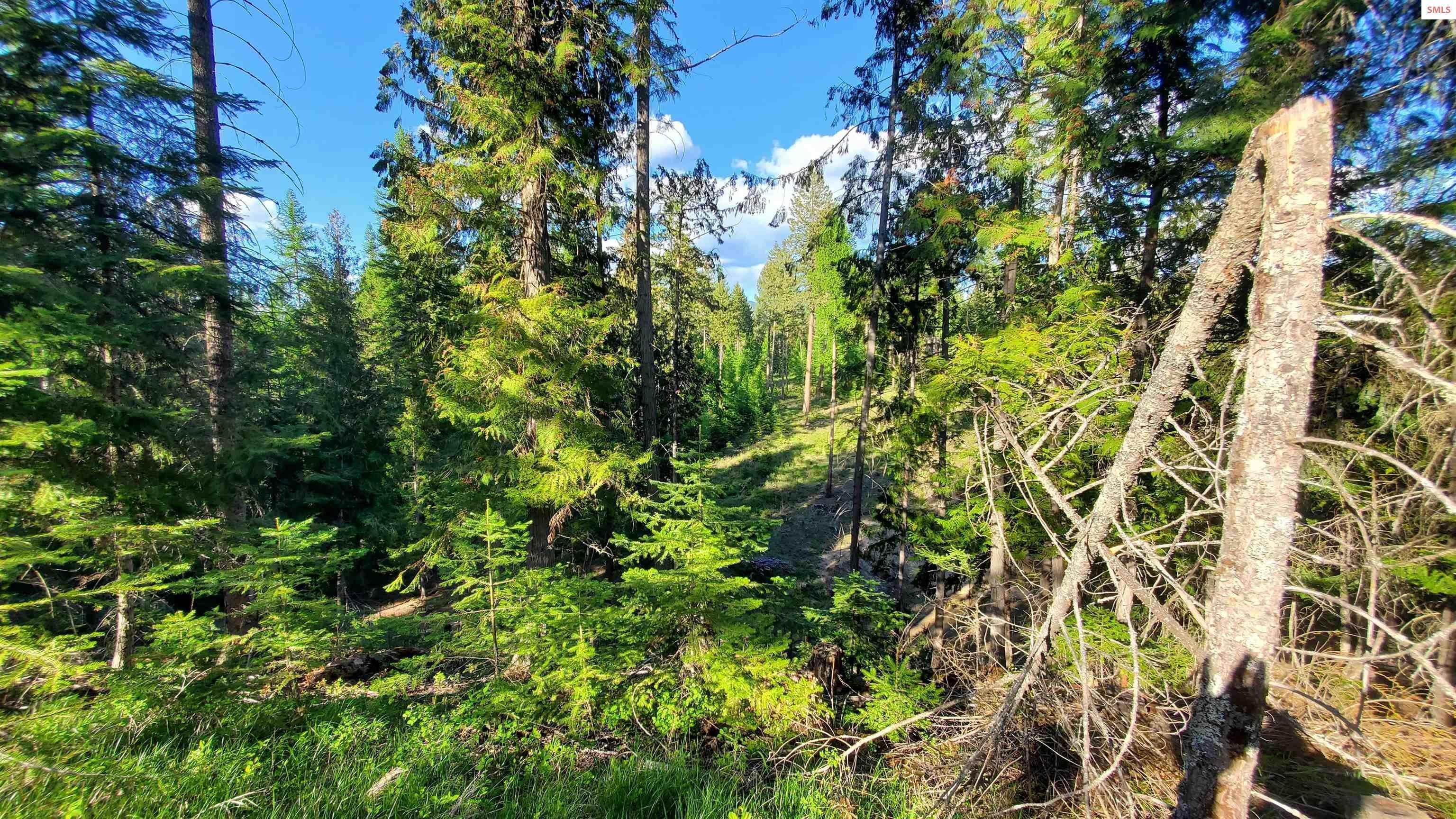 14. Land for Sale at NNA Rebel Way Bonners Ferry, Idaho 83805 United States