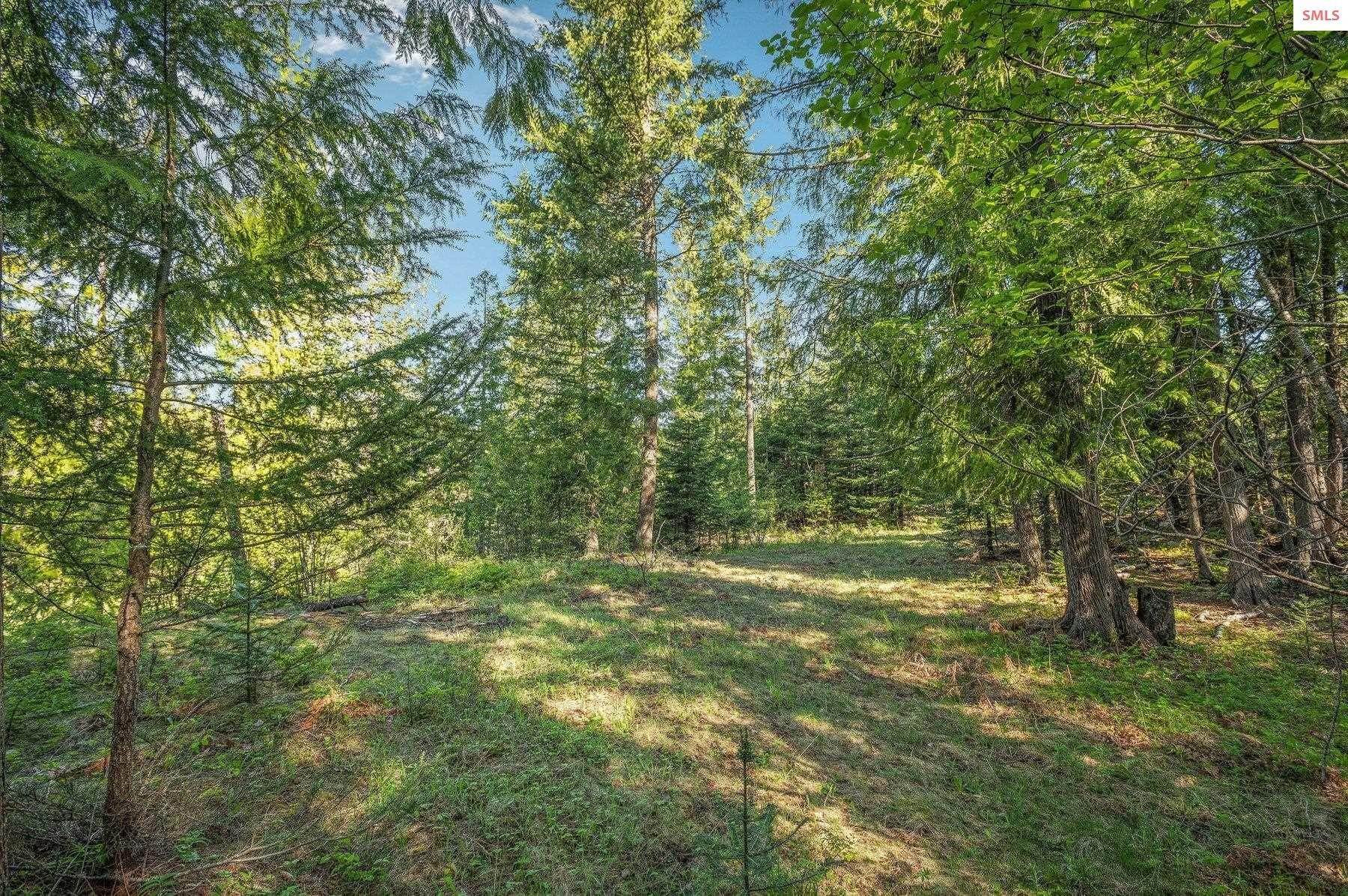 12. Land for Sale at NNA A3 S Idaho Club Drive Sandpoint, Idaho 83864 United States