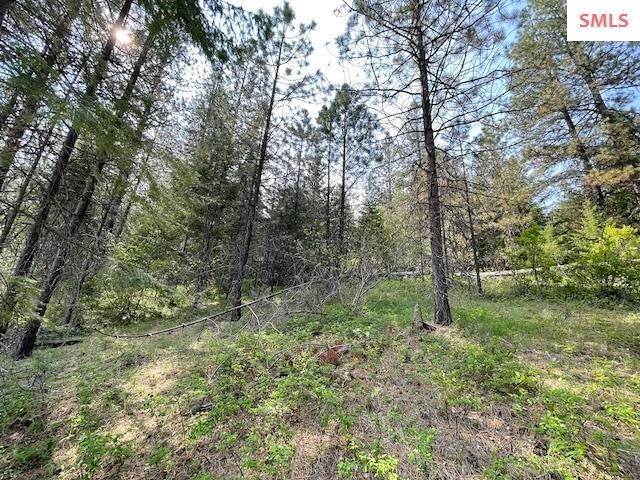 13. Land for Sale at L6 B1 Meadowland Drive Blanchard, Idaho 83804 United States