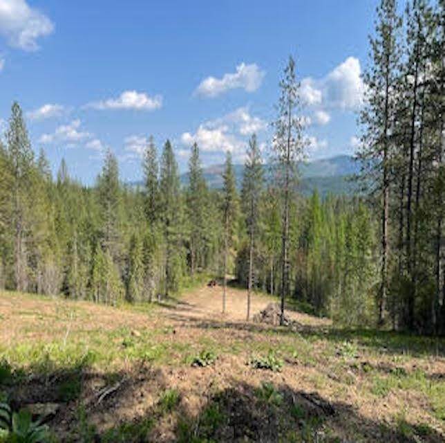3. Land for Sale at L6 B1 Meadowland Drive Blanchard, Idaho 83804 United States