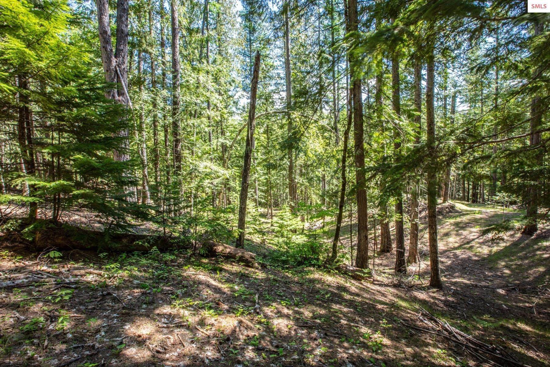 27. Land for Sale at 300 Red Cedar Lane Sandpoint, Idaho 83864 United States