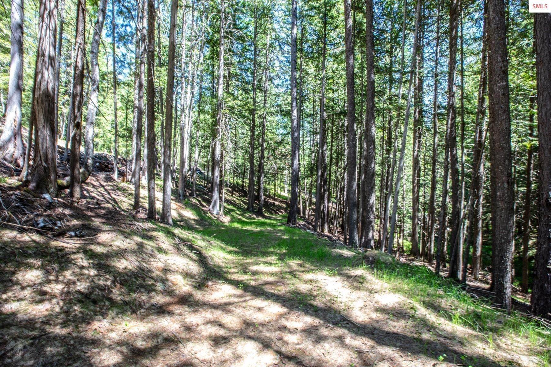 29. Land for Sale at 300 Red Cedar Lane Sandpoint, Idaho 83864 United States