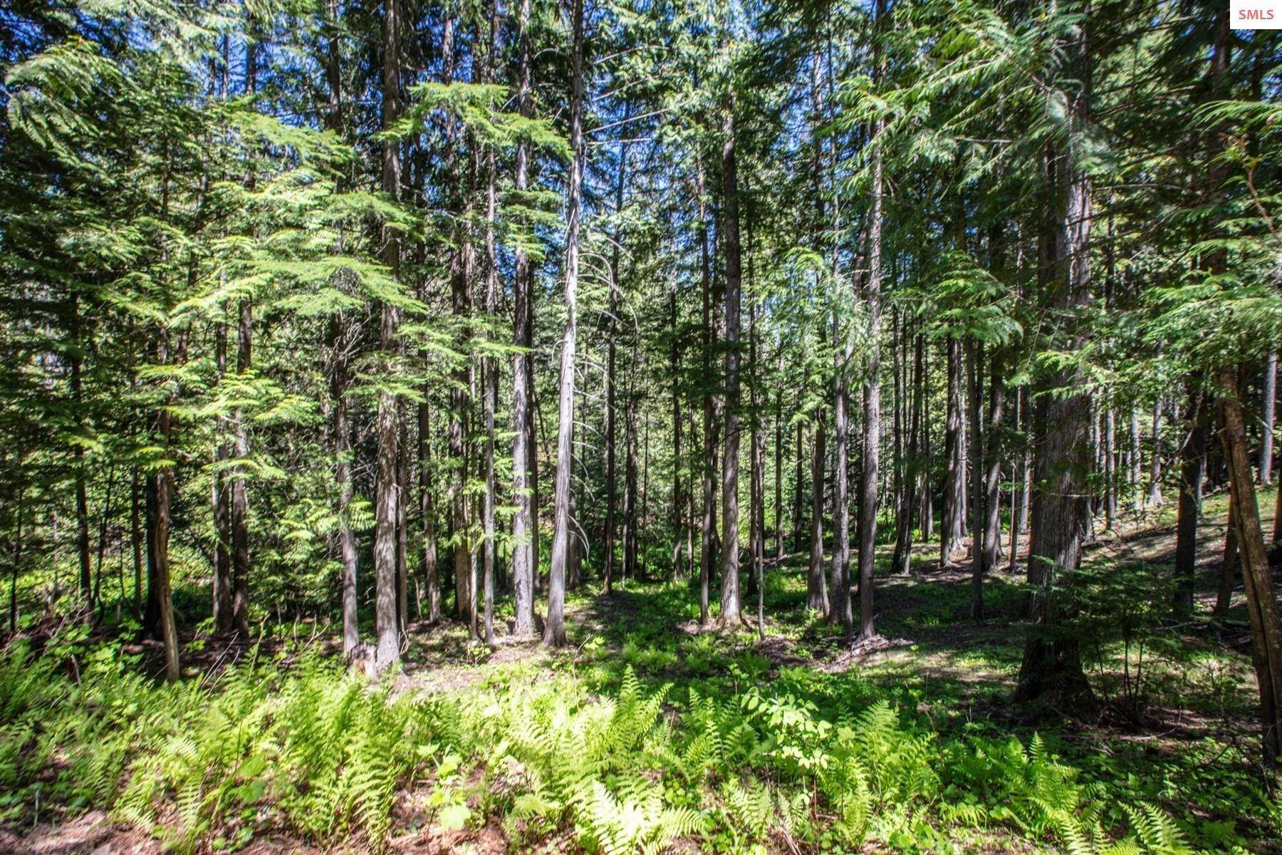 34. Land for Sale at 300 Red Cedar Lane Sandpoint, Idaho 83864 United States
