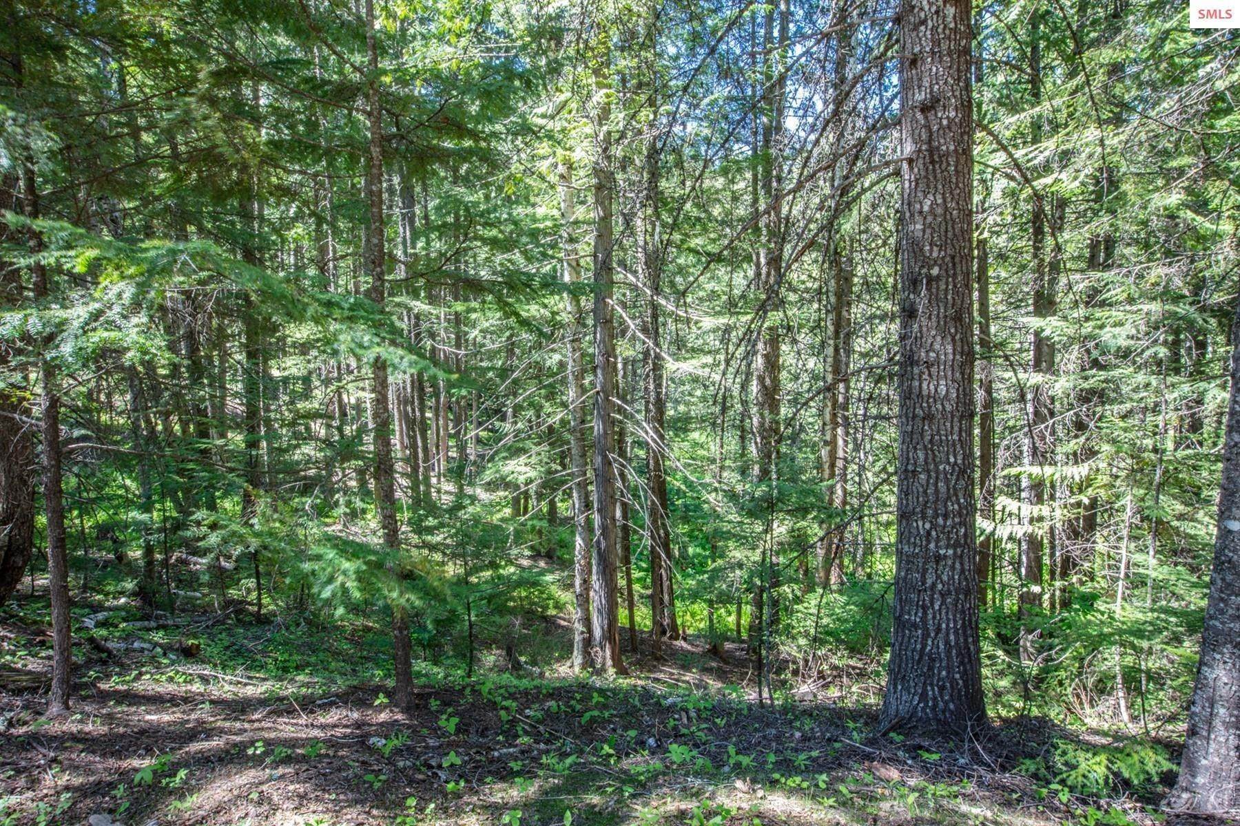 39. Land for Sale at 300 Red Cedar Lane Sandpoint, Idaho 83864 United States