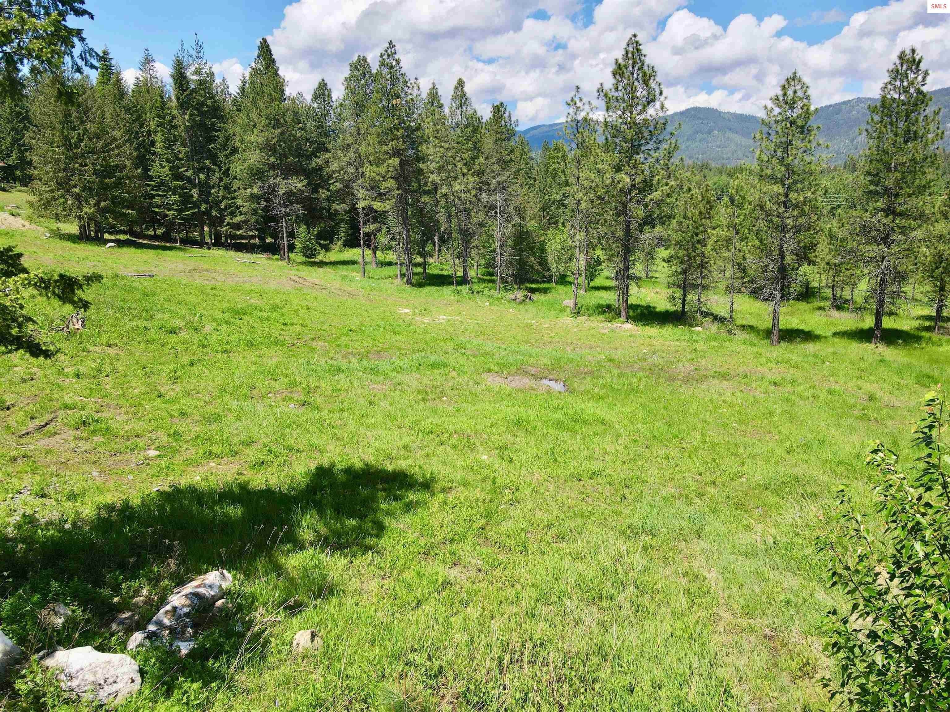 20. Land for Sale at NNA Syringa Heights Rd Lot 4 Sandpoint, Idaho 83864 United States