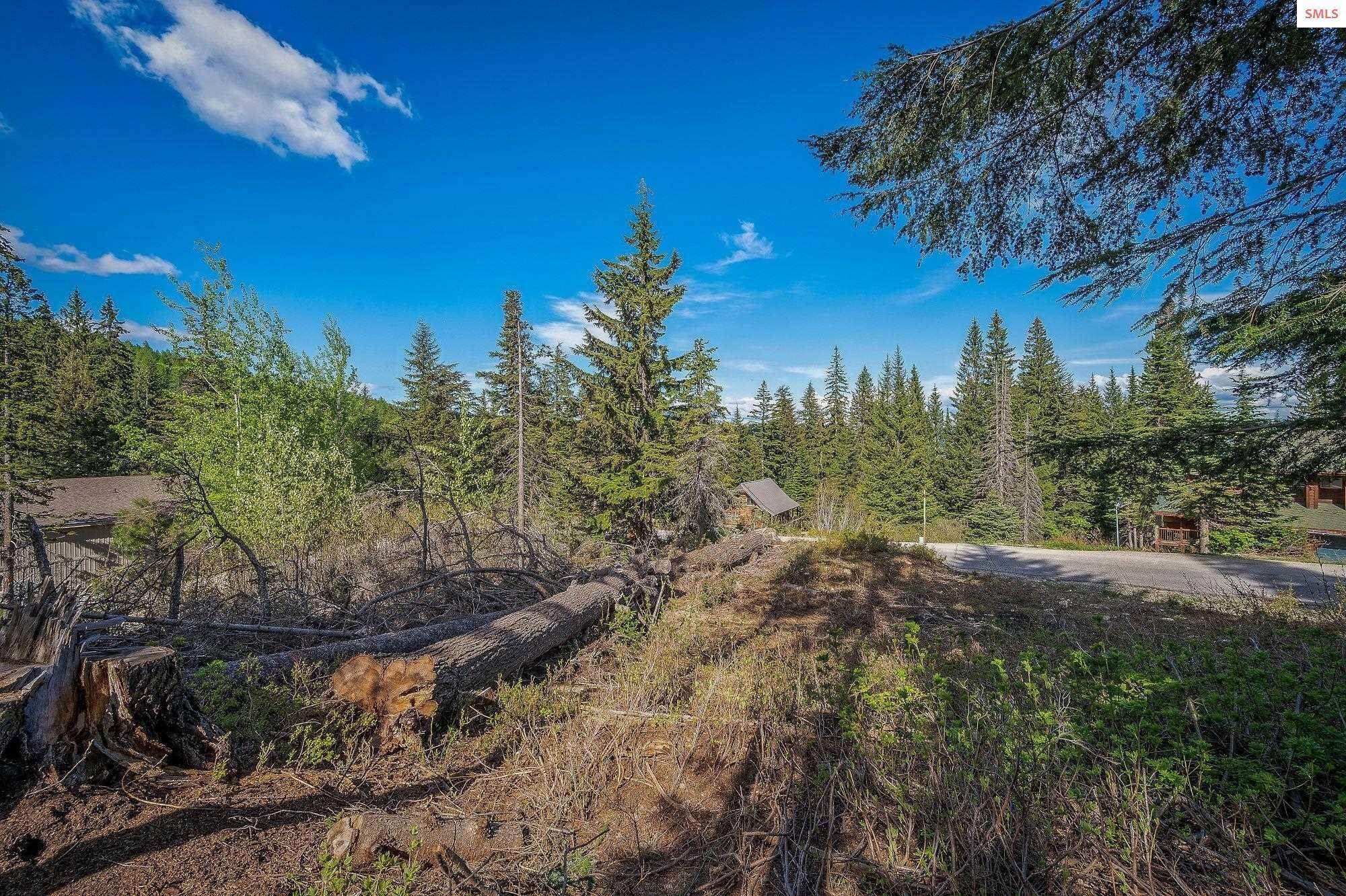 4. Land for Sale at Lot 23C Ullr Drive Sandpoint, Idaho 83864 United States