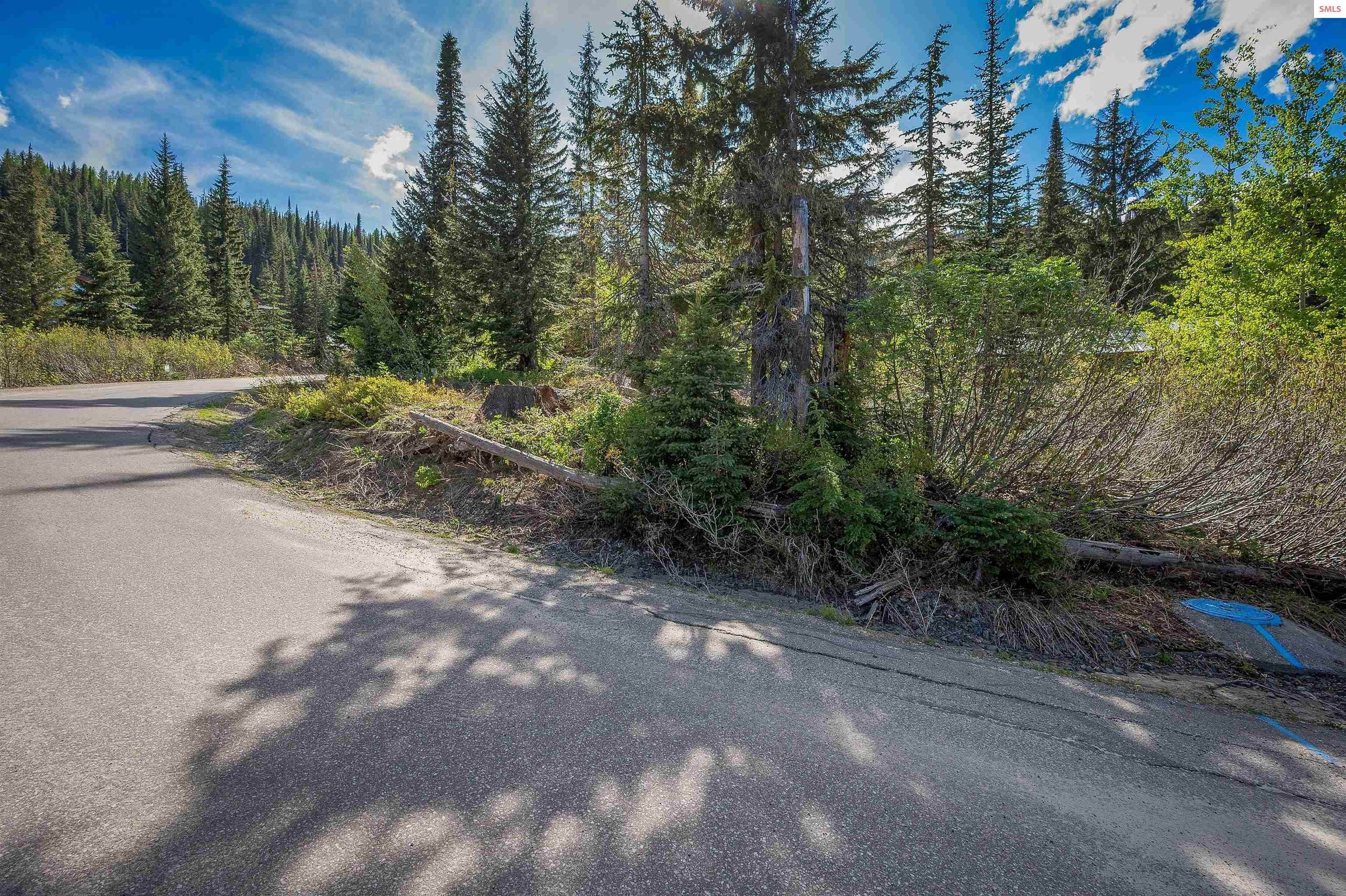 10. Land for Sale at Lot 23C Ullr Drive Sandpoint, Idaho 83864 United States