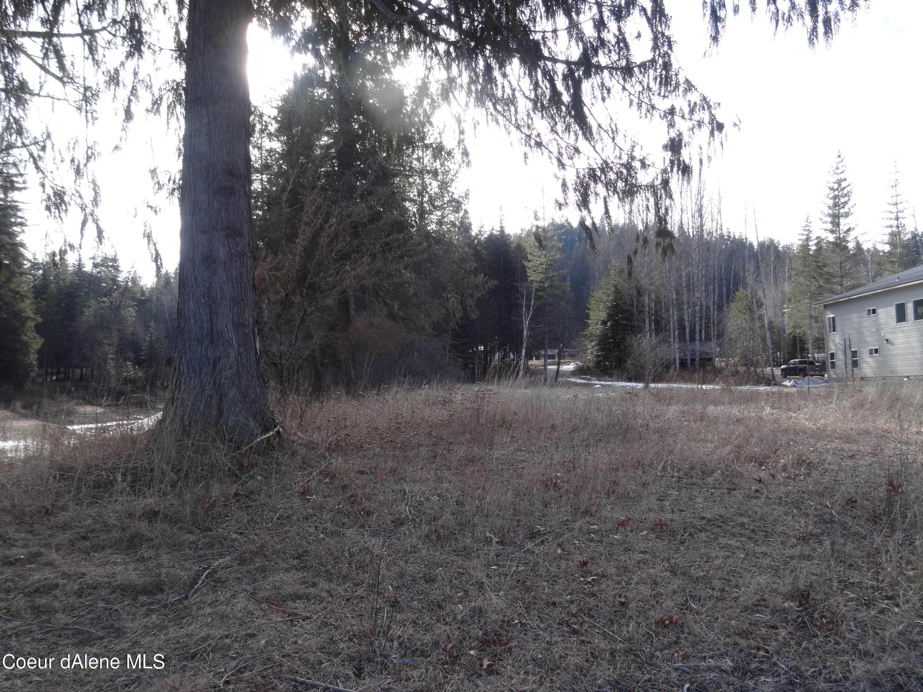 10. Land for Sale at 23 (Lot 4) Strong Cove Court Priest River, Idaho 83856 United States