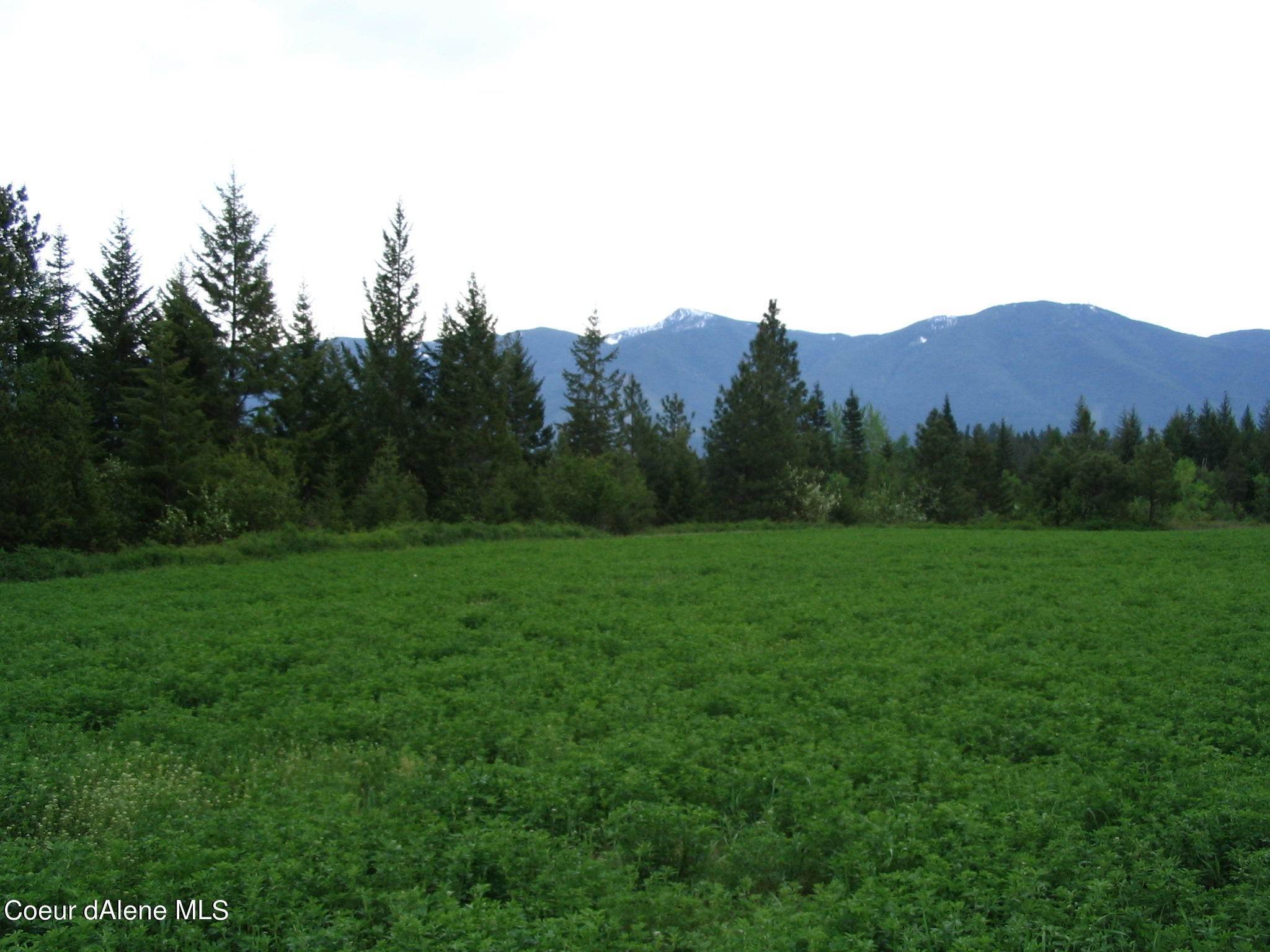 34. Land for Sale at 350 Stellar Jay Road Bonners Ferry, Idaho 83805 United States