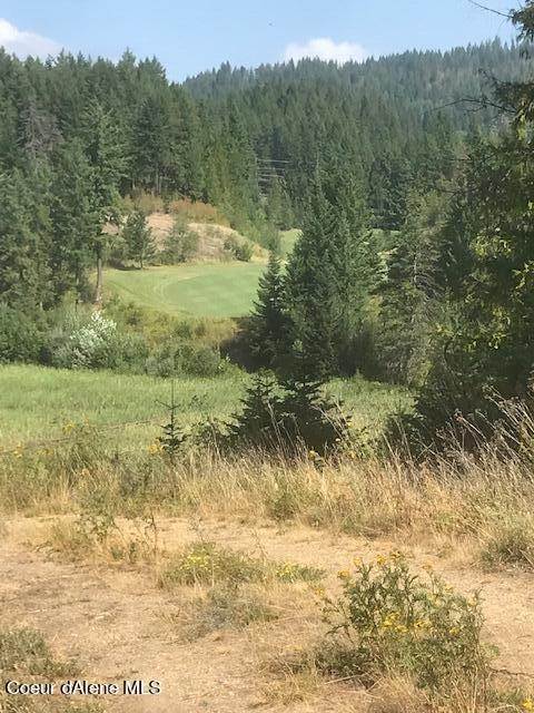 5. Land for Sale at NNA B-5 Wildflower Way Sandpoint, Idaho 83864 United States