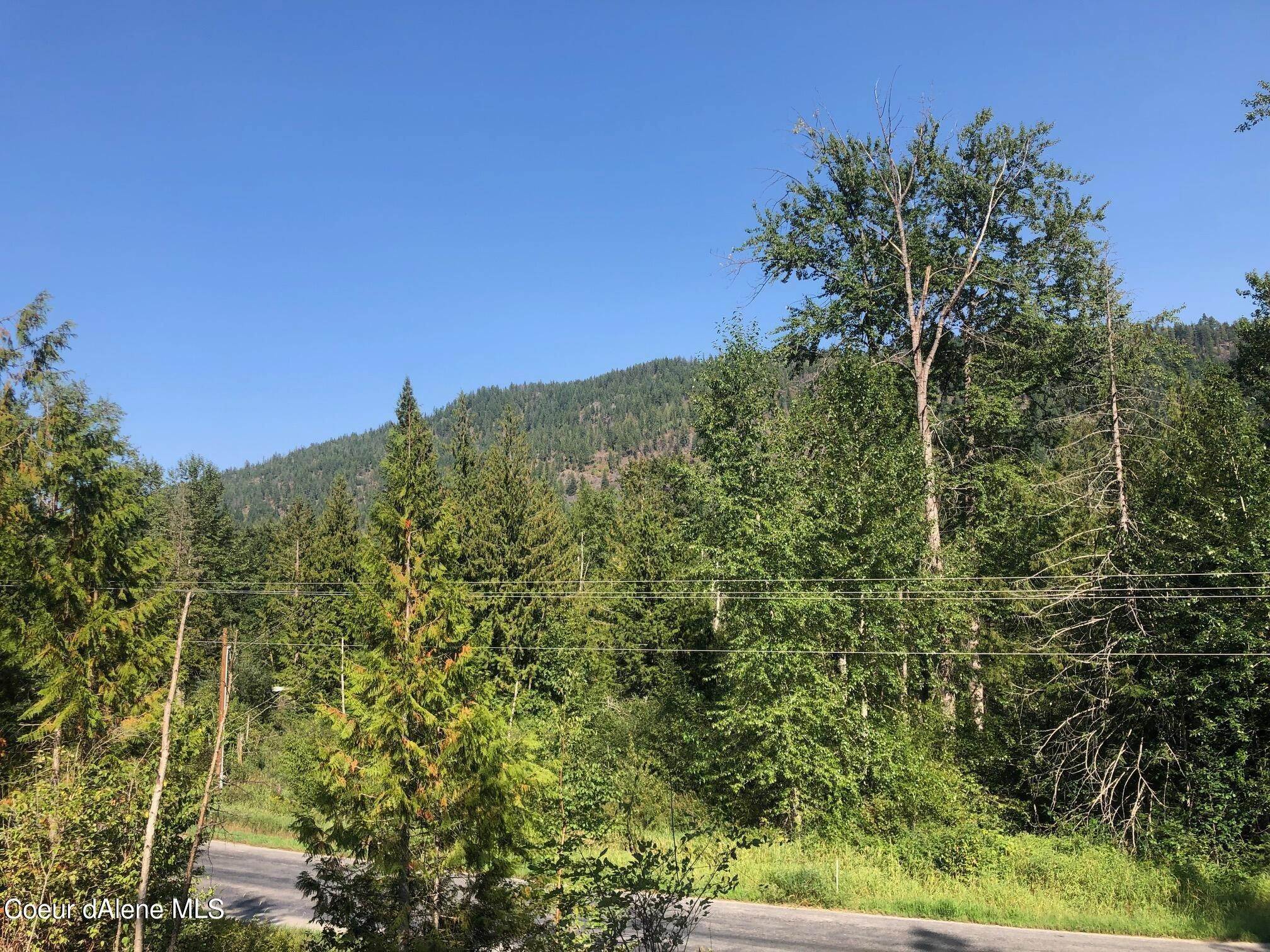 1. Land for Sale at NNA Lower Pack River Road Sandpoint, Idaho 83864 United States