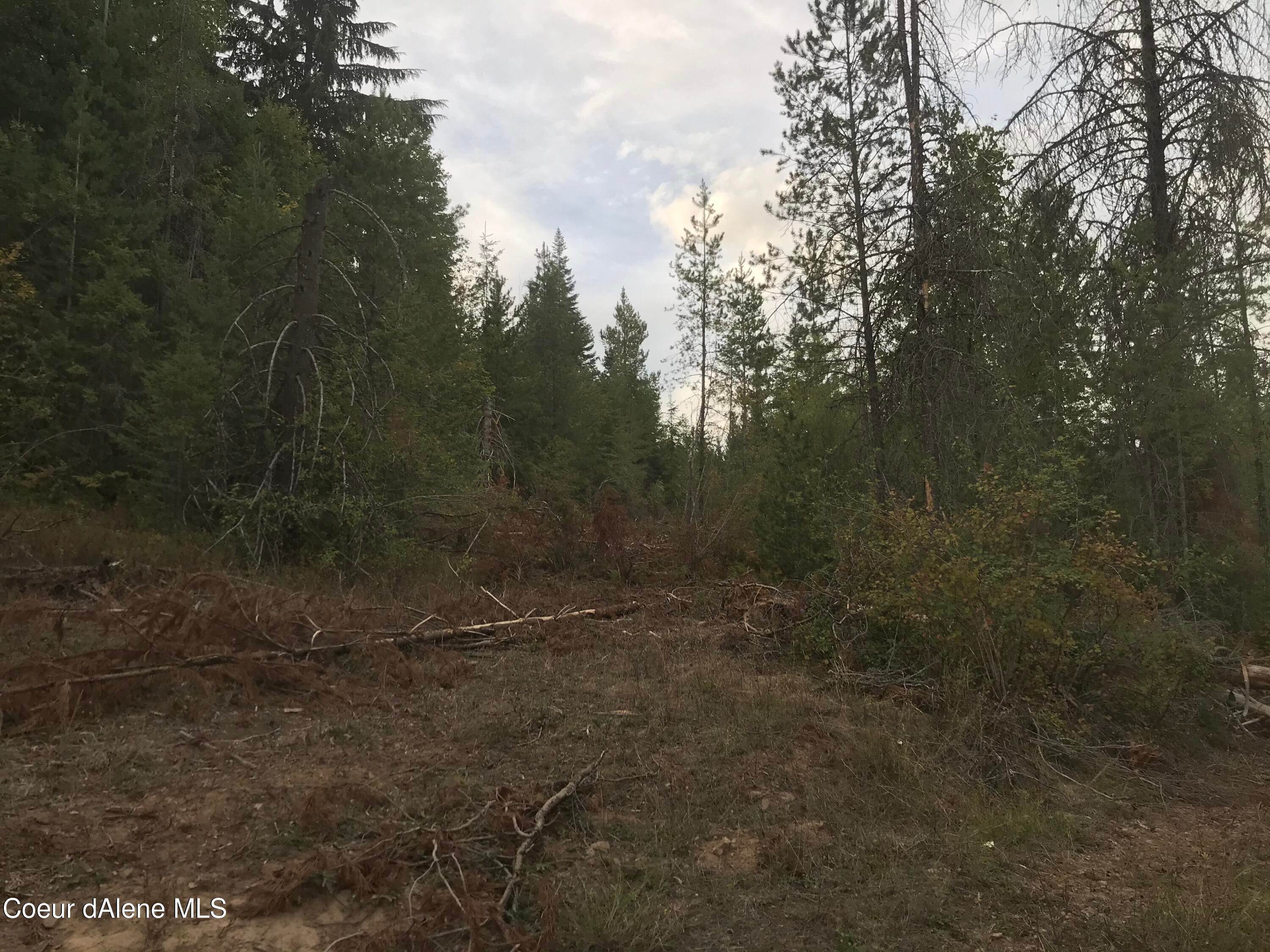 11. Land for Sale at Parcel 1 NNA Talking Bear Drive Priest River, Idaho 83856 United States