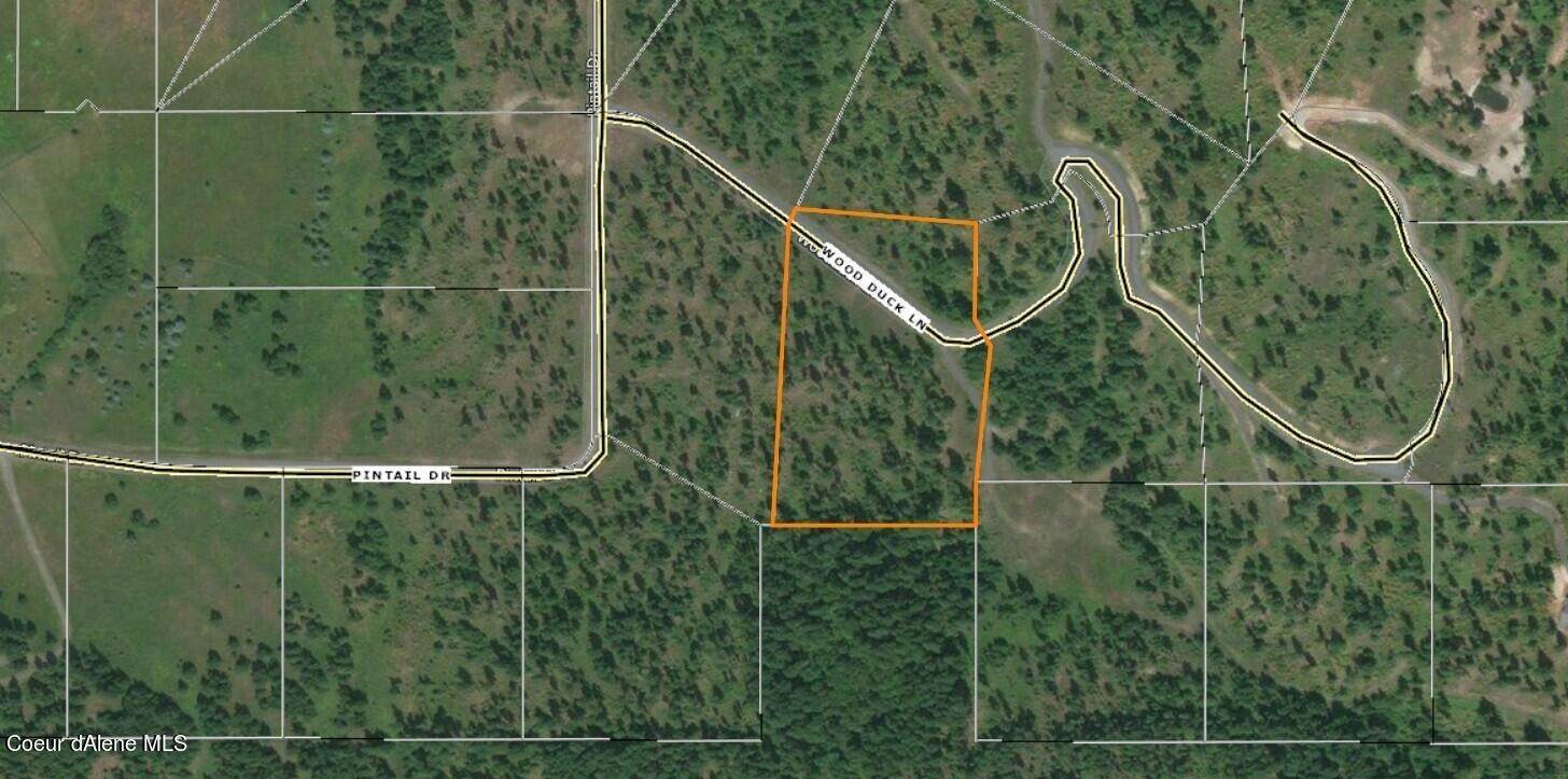 24. Land for Sale at Lot 31 Wood Duck Lane Bonners Ferry, Idaho 83805 United States