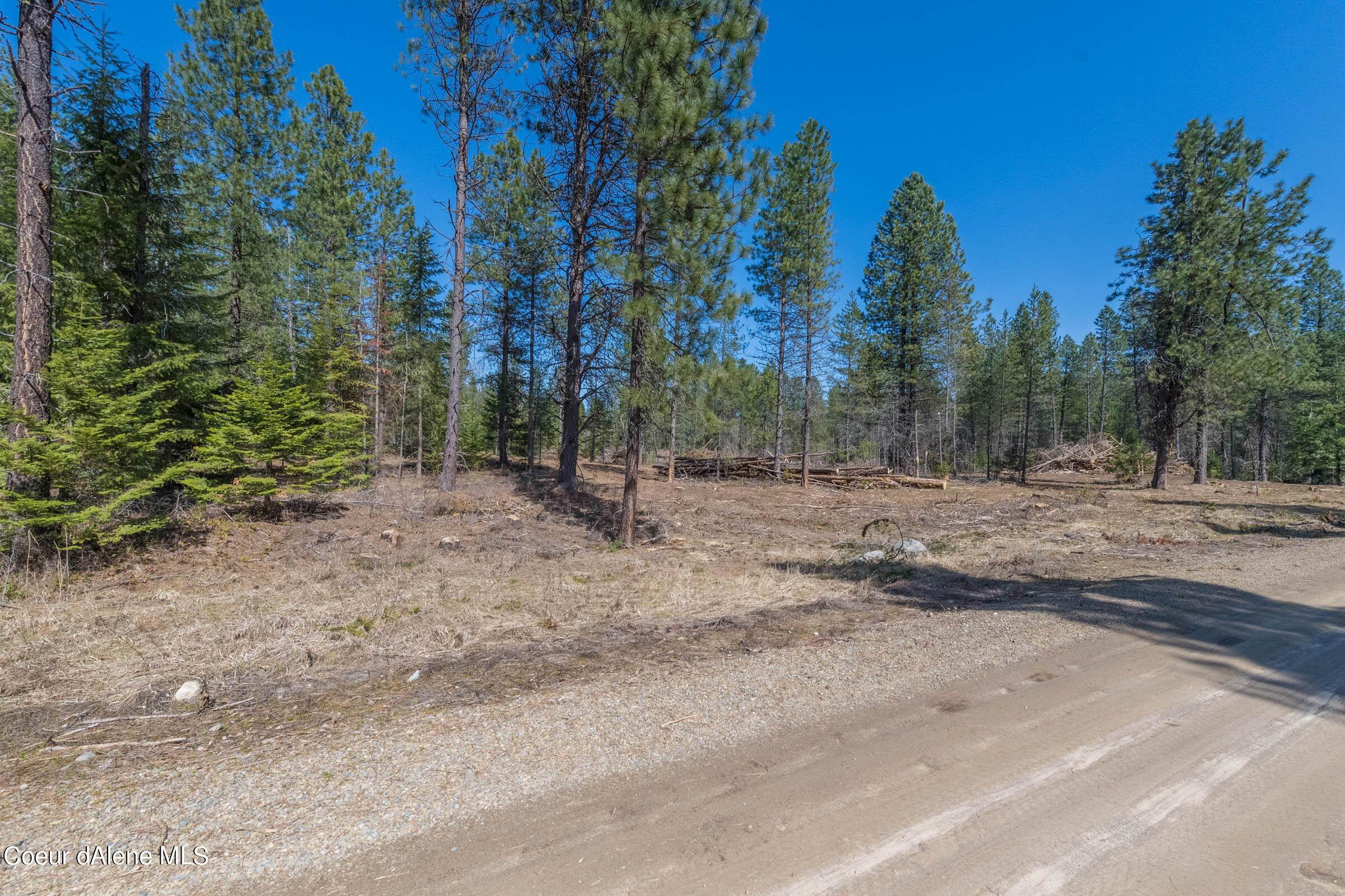 Land for Sale at NNA Amethyst Lane Lot 3 Cocolalla, Idaho 83813 United States