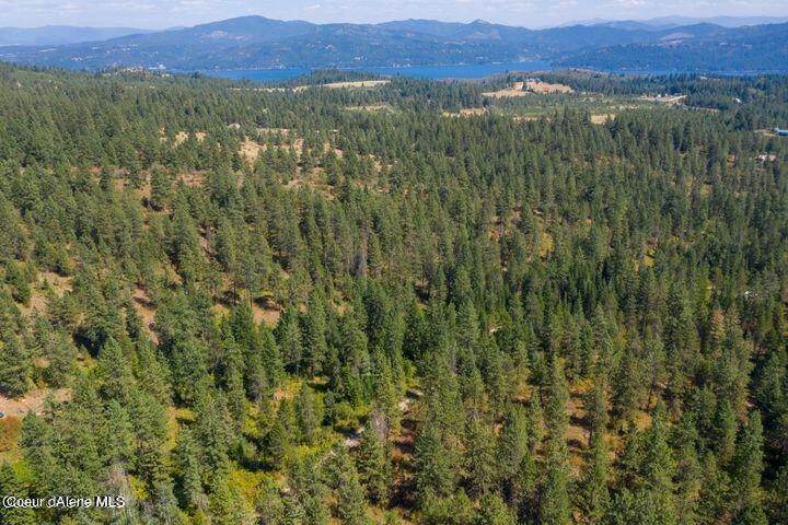 1. Land for Sale at NNA W Reality Loop Coeur D Alene, Idaho 83815 United States