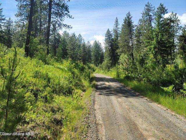 12. Land for Sale at NNA W Reality Loop Coeur D Alene, Idaho 83815 United States