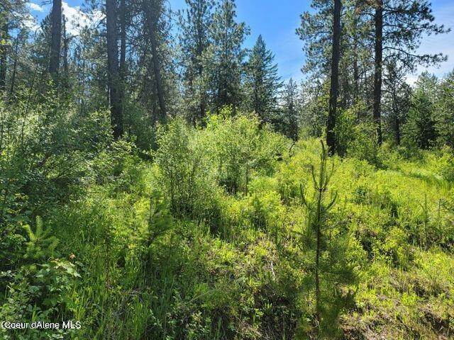 14. Land for Sale at NNA W Reality Loop Coeur D Alene, Idaho 83815 United States