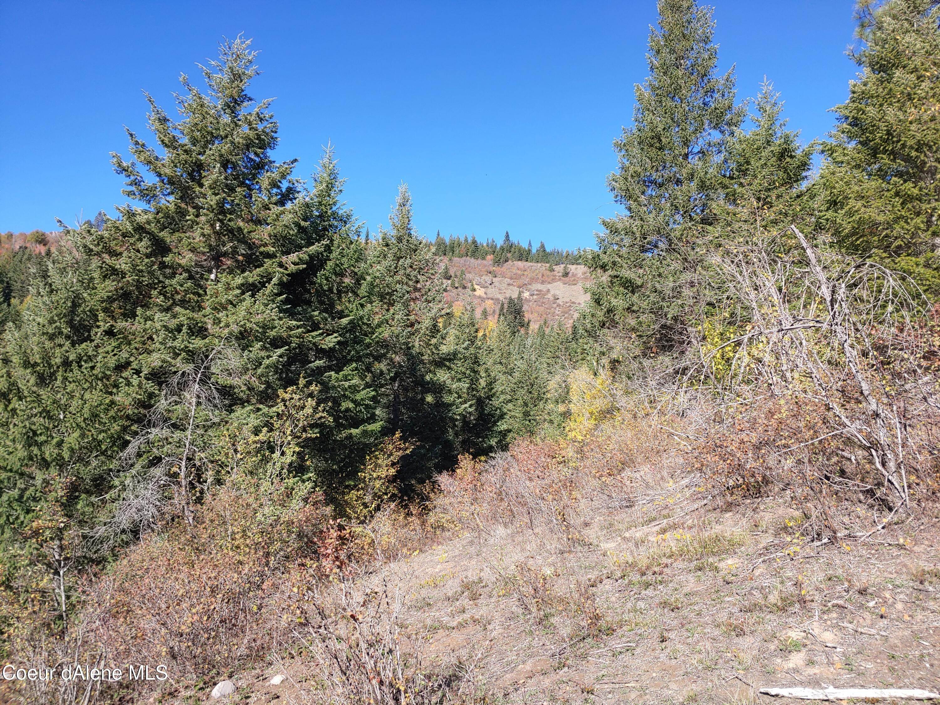 12. Land for Sale at NNA Lot 4 Beaver Pond Trail Priest River, Idaho 83856 United States
