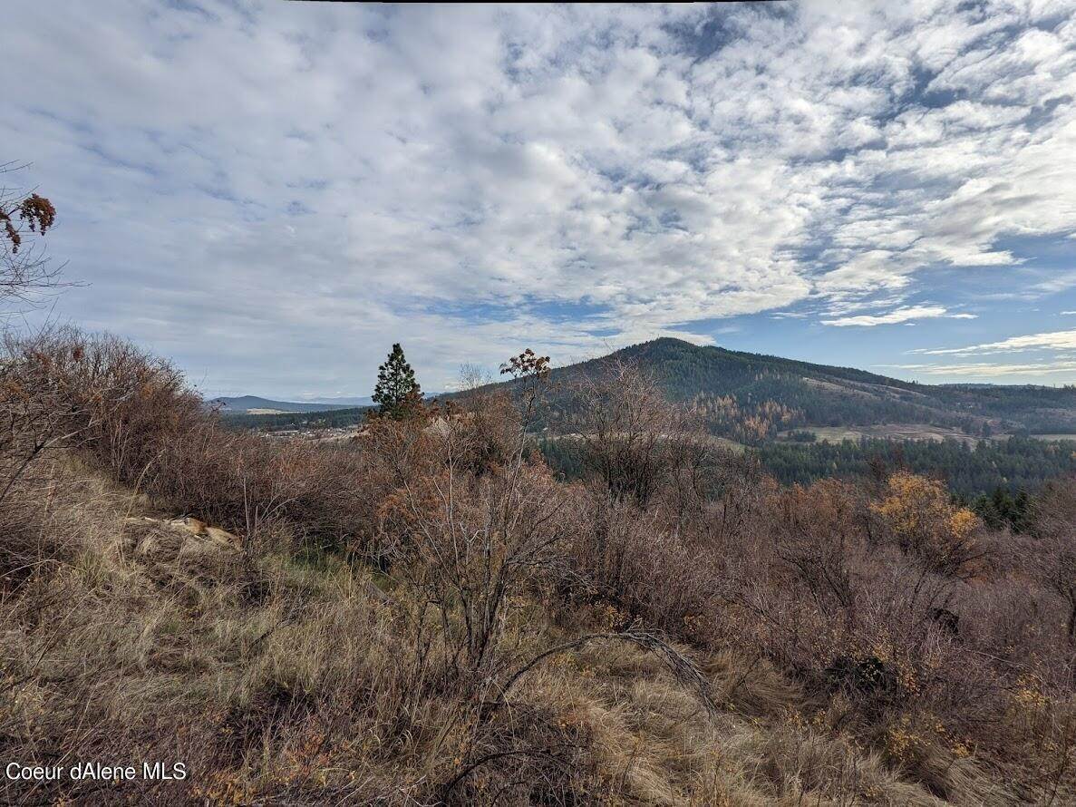 2. Land for Sale at NNA Agency Road Plummer, Idaho 83851 United States